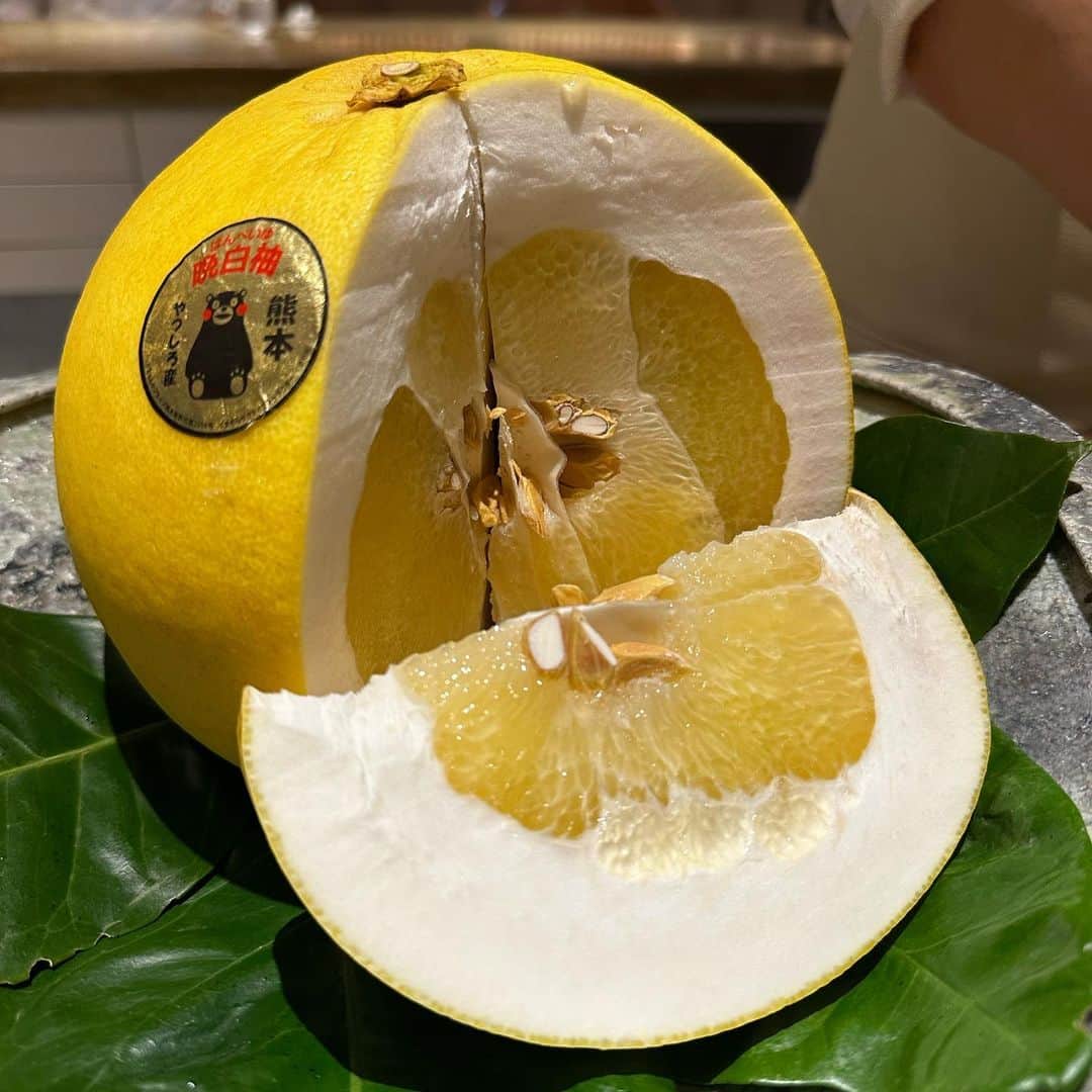 山岸久朗さんのインスタグラム写真 - (山岸久朗Instagram)「定期訪問したい神戸フレンチ「アントルヌー」 @entre_nous.jp   4月のテーマは「新緑」…鮑とアスパラうまー(　ﾟдﾟ)❣️合う❣️  ワインペアリングは1皿2杯ずつ😂多い時は1皿3杯😂千鳥足で帰りましたとさ。おしまい。  #アントルヌー #entrenous  #新緑 #新緑の季節  #新緑が綺麗  #freshgreens  #三宮 #三ノ宮 #三宮グルメ  #三宮ディナー #三宮フレンチ #三宮レストラン #三宮デート #kobejapan  #sannomiya #kobewine」4月12日 16時58分 - yamaben