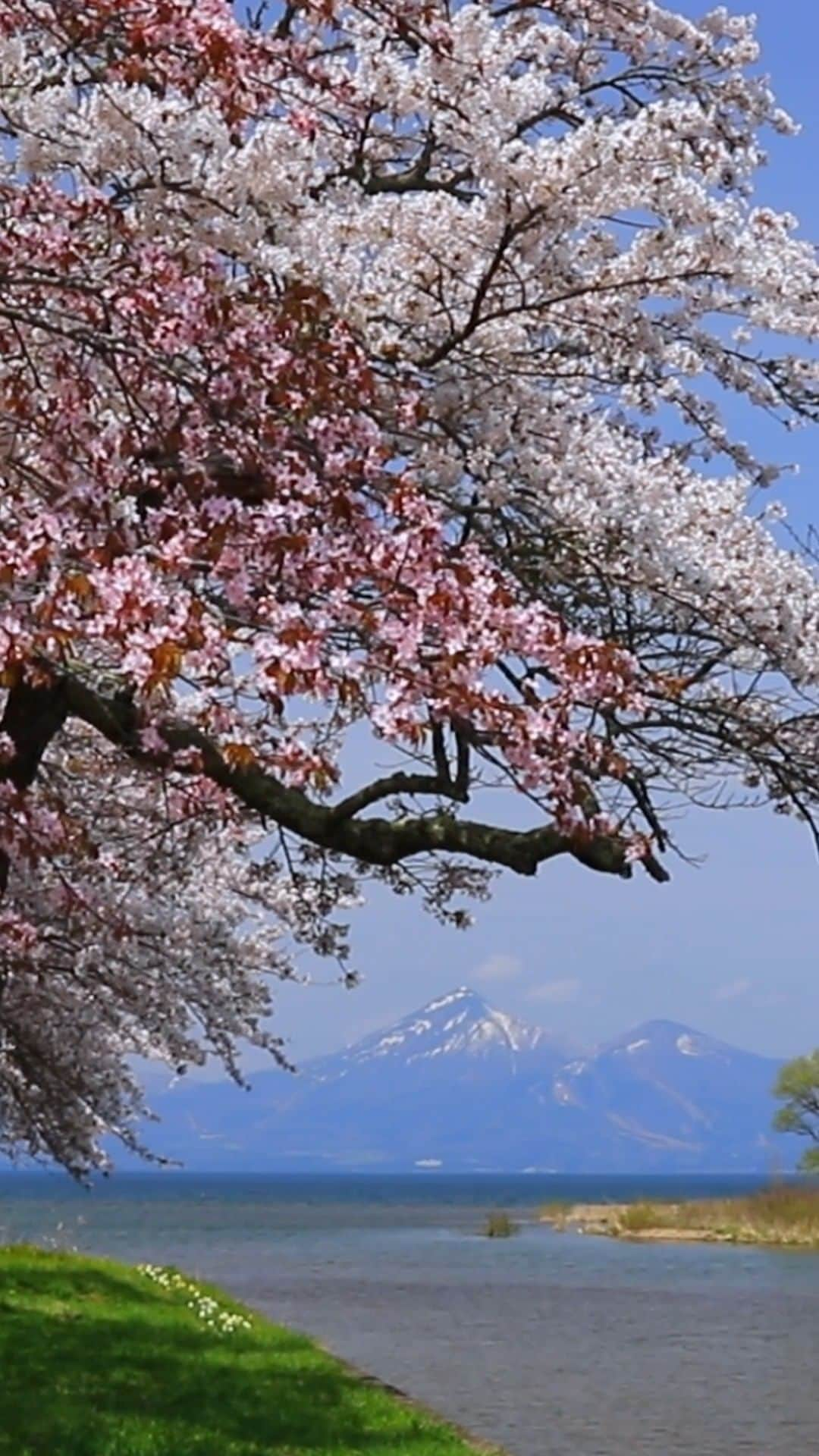 福島県のインスタグラム