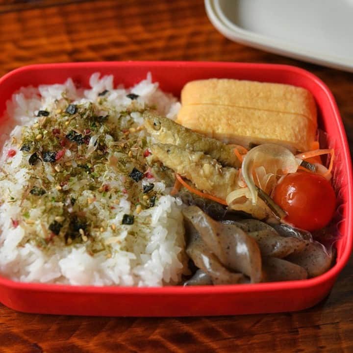 のインスタグラム：「今回の弁当は緑色のおかずなし！ でも、なんか見た目も、味のバランスもいい具合だぞ。  朝から弁当詰めながら、ひとりテンションが上がってました（笑）  わかさぎの南蛮漬けと、こんにゃくの煮物、2つの常備菜を作っておいて、朝は卵焼きを作るだけにした組み合わせ。  弁当のおかずを決める時、自分が実際に食べるのをイメージしながら、味の傾向や食感とかを考えて、あーでもない、こーでもないと組み合わせていくのですが、イメージ通りになると嬉しいものです（お昼に大人用の弁当を食べて美味しかったので…）  弁当の組み合わせやレシピが参考になれば嬉しいです。  #プロフィール欄に弁当全体の流れを紹介しているページリンクを貼っています  #わかさぎ #南蛮漬け #こんにゃく煮物 #卵焼き #ふりかけ #白ごはんドットコム #弁当 #弁当おかず #常備菜」