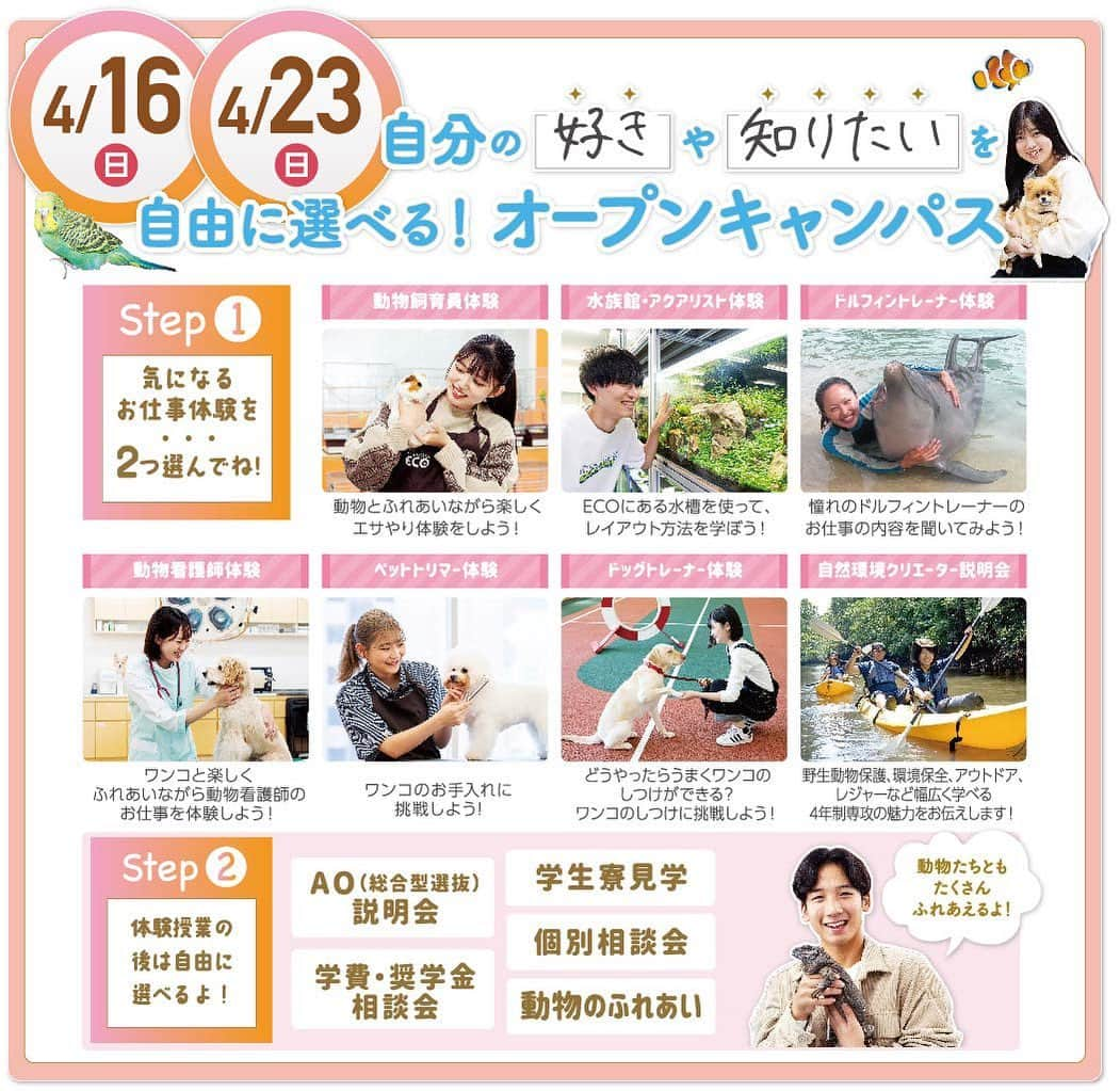 【公式】福岡ECO動物海洋専門学校のインスタグラム：「4/16.23（日）は自分の「好き」や「知りたい」を自由に選べるオープンキャンパスを開催👏👏 この2日間は興味のあるお仕事を1日に２つ体験できちゃいます😊  ご予約される方はホームページから是非ご予約下さい❗️  #福岡eco #福岡eco動物海洋専門学校 #専門学校 #オープンキャンパス #体験型イベント」