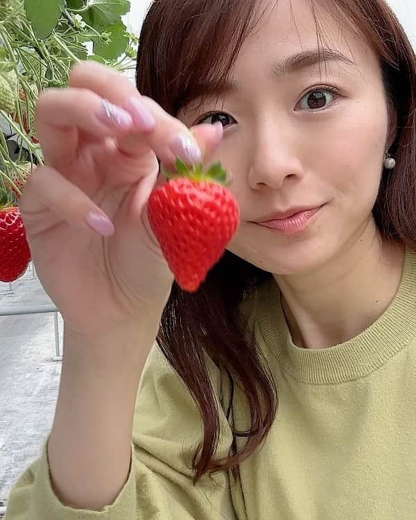 今井美穂のインスタグラム