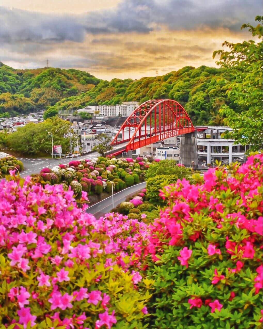 JALさんのインスタグラム写真 - (JALInstagram)「. 約8,300本のツツジが彩る広島 #音戸大橋 🌉 4月下旬から5月初旬が見ごろです✨ #MyAprilAdventure   Ondo Bridge, Hiroshima. Late April to early May is the best time to see azaleas. . . Photo by @patisserie_miyumiyu Post your memories with #FlyJAL  #JapanAirlines #JAL #travel #🇯🇵 #音戸大橋ツツジ #音戸の瀬戸 #音戸の瀬戸公園 #つつじ #ツツジ #春 #マジックアワー #夕暮れ #夕暮れの空 #雨上がり #はなまっぷ #橋 #広島観光 #広島旅行 #サイクリング #呉市 #広島 #日本 #日本の絶景 #国内旅行 #旅行 #日本航空」4月12日 17時30分 - japanairlines_jal