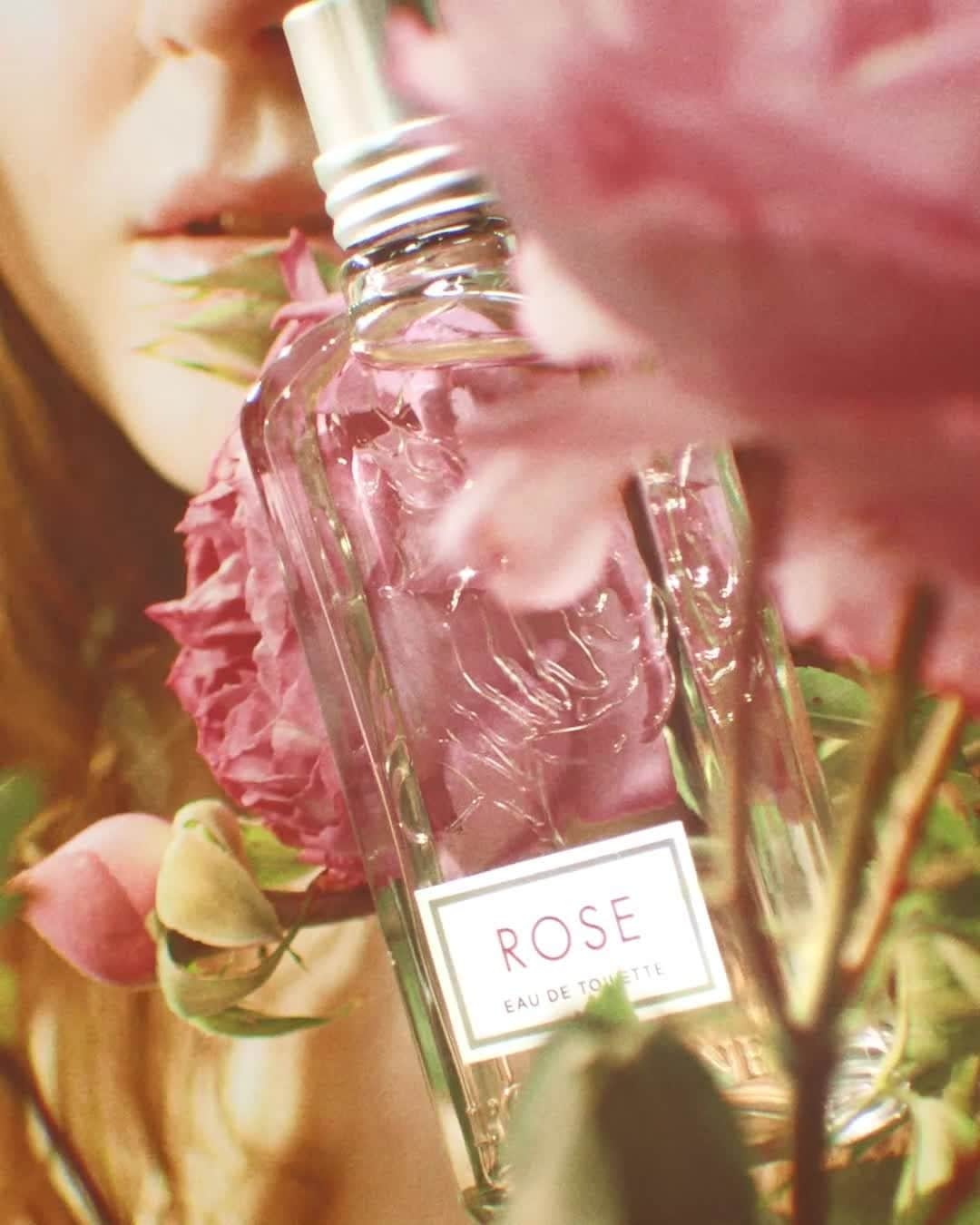 ロクシタンのインスタグラム：「"The people of Grasse are reserved people who treasure their knowledge. But when they share, they give it entirely." Fabrice Pellegrin⁣ ⁣ By creating this perfume, Fabrice has chosen to share with us the rose that he is lucky to smell every year in May at harvest in Grasse. A freshly picked flower whose scent escapes from authentic jute bags, transporting him back time with his grand-mother in the fields of Provence.​..⁣ ⁣ #WeCraft #Fragrance #Rose⁣」