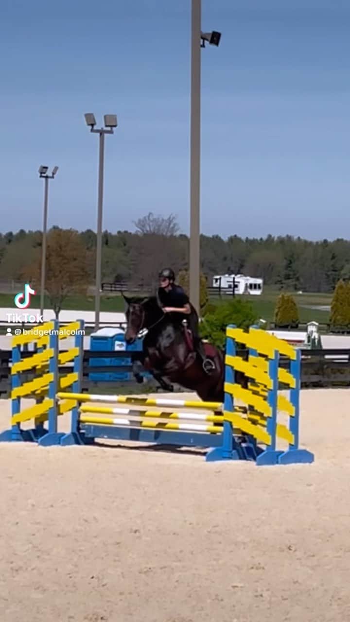 ブリジット・マルコムのインスタグラム：「First time putting together a .70 jumpers course ❤️ #showjumping」