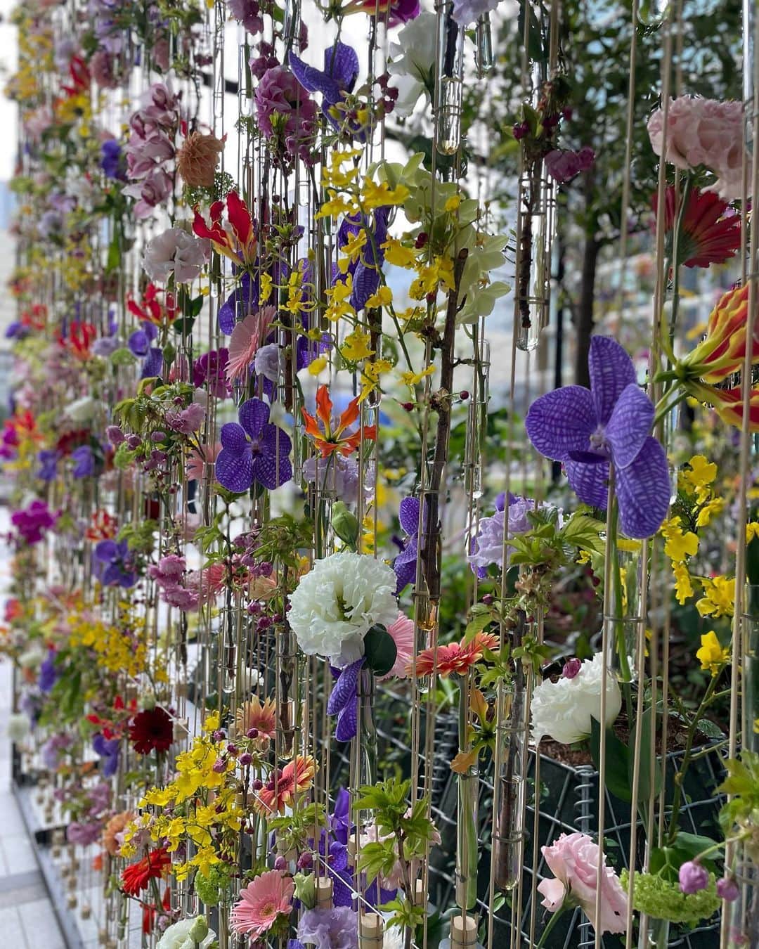 小林さりさんのインスタグラム写真 - (小林さりInstagram)「𓍯𓈒𓏸 ・ ・ Yaesu Flower Greetingへ𓈒𓏸 ・ ・ @tokyomidtownyaesu で開催されているお花のイベント𓆸 3,000輪以上ものお花が装飾されていて、風が吹くと揺ら揺らする模様がとても綺麗で春を感じる空間でした♪ ・ ・ イベントは23日まで開催されているよ✔︎ ・ ・ #東京ミッドタウンハ重洲 #tokyomidtownyaesu #yaesuflowergreeting #東京#八重洲＃東京駅八重洲口#ミッドタウン八重洲#八重洲ミッドタウン #ミッドタウン#東京ミッドタウン #東京駅周辺#商業施設 #tokyo #yaesu #midtownyaesu #yaesumidtown #midtown #tokyomidtown」4月12日 18時22分 - _____sari
