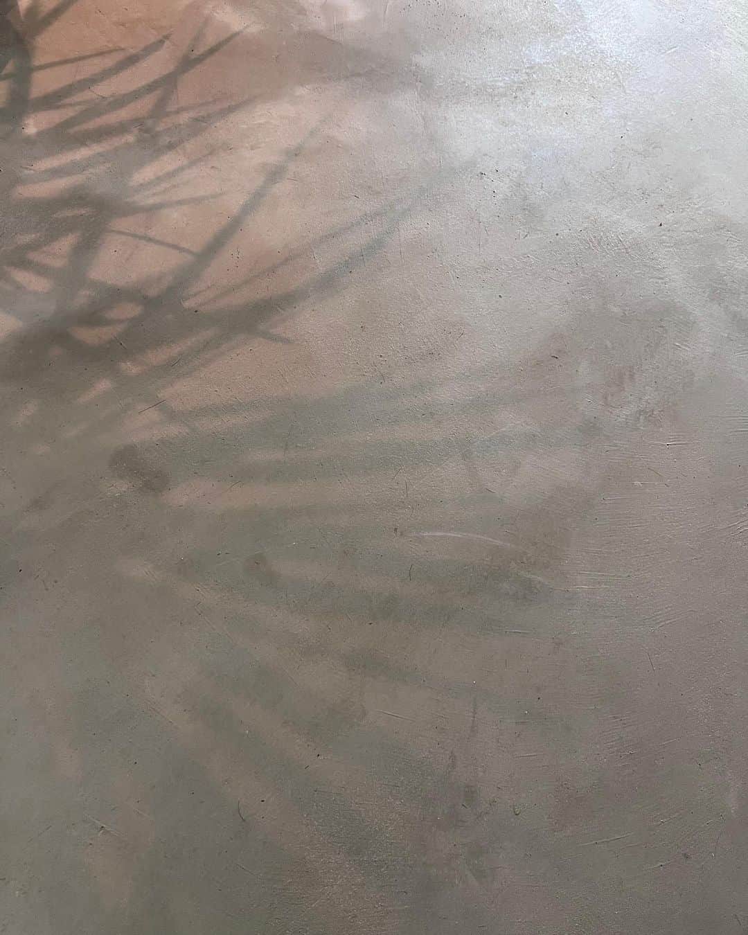 Rika Sasaki JPNのインスタグラム：「🌿🌿🌿」