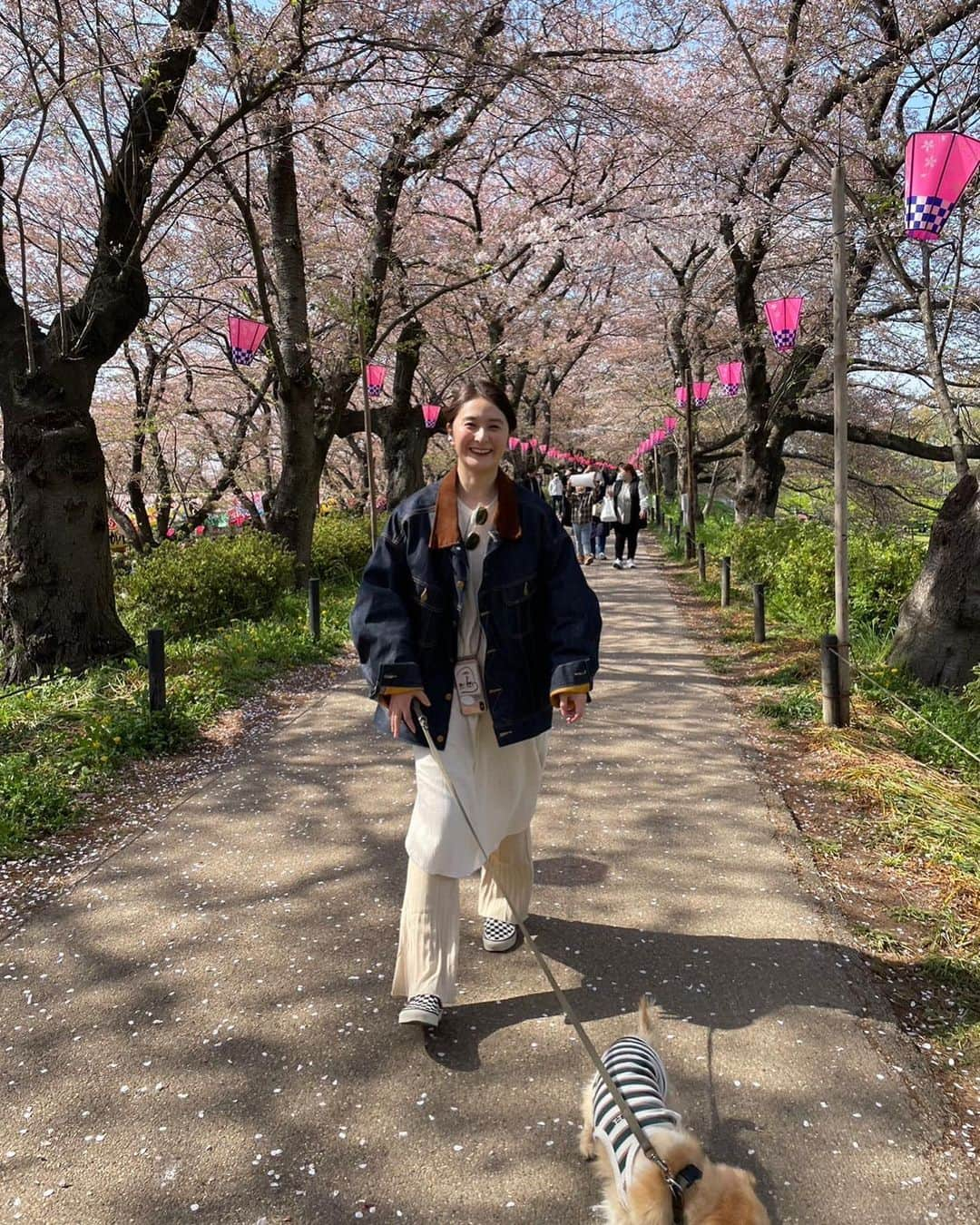 海下真夕さんのインスタグラム写真 - (海下真夕Instagram)「. 💗💛💚💙🤍  この前ちょこっとお出かけして 桜と菜の花を見に🌸  いいお天気で気持ちよかった〜☀️  青い空に淡いピンク、元気が出る一面の黄色、 空気、匂い、自然たっぷり感じて癒された☺️  外で食べるお弁当と、お酒や屋台飯、最高😋  桜が散っちゃってたので来年はもうちょっと 満開の時に行けたらいいな😌  #おでかけ#日帰り #幸手#幸手権現堂桜堤  #桜まつり#屋台 #桜#桜スポット#菜の花#菜の花畑 #犬連れ#犬連れスポット #いぬのいる暮らし#いぬのいる生活 #家族の時間#20230403」4月12日 18時33分 - kaigeworld