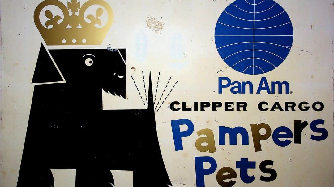 フィリップ・P・キーンのインスタグラム：「From my collection . Clipper Cargo porcelain on metal sign . Circa 1973 . This sign would be attached to the side of a pet carrier . @pan.am.museum @panam_mech #vintage #aviation #pets #travel #jet #cargo」