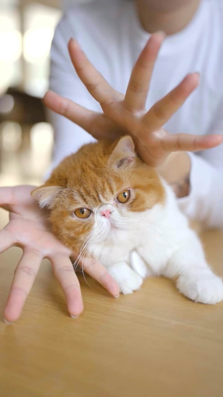 むじさまのインスタグラム