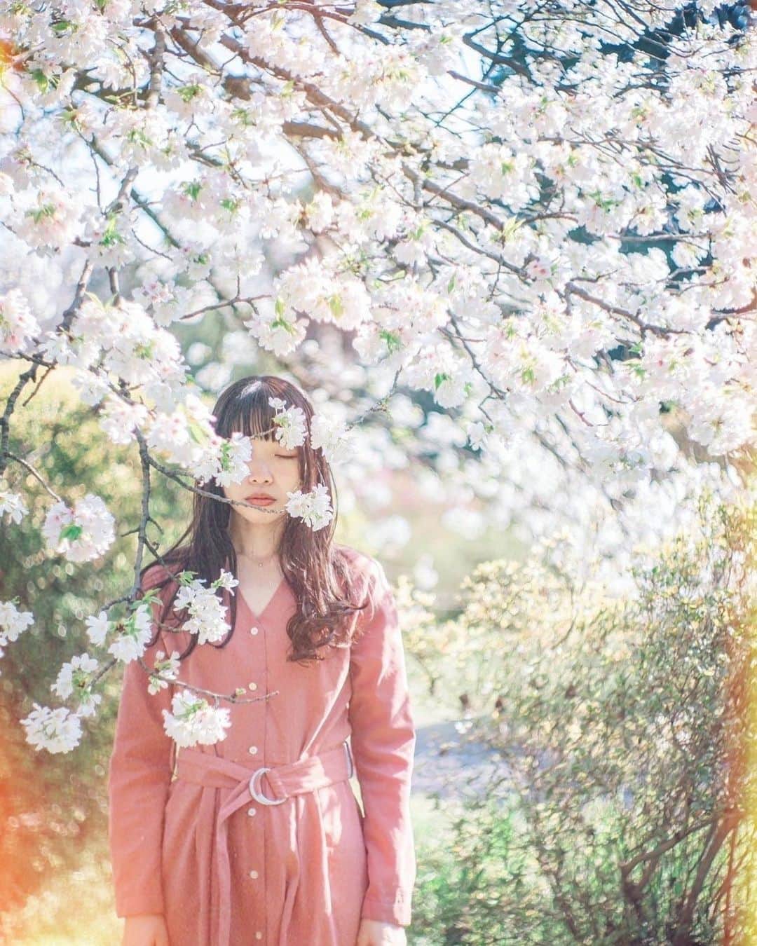 Sherryのインスタグラム：「ㅤㅤㅤㅤㅤㅤㅤㅤㅤㅤㅤㅤㅤ ㅤㅤㅤㅤㅤㅤㅤㅤㅤㅤㅤㅤㅤ まだまだある 今年の桜写真😂 ㅤㅤㅤㅤㅤㅤㅤㅤㅤㅤㅤㅤㅤ」
