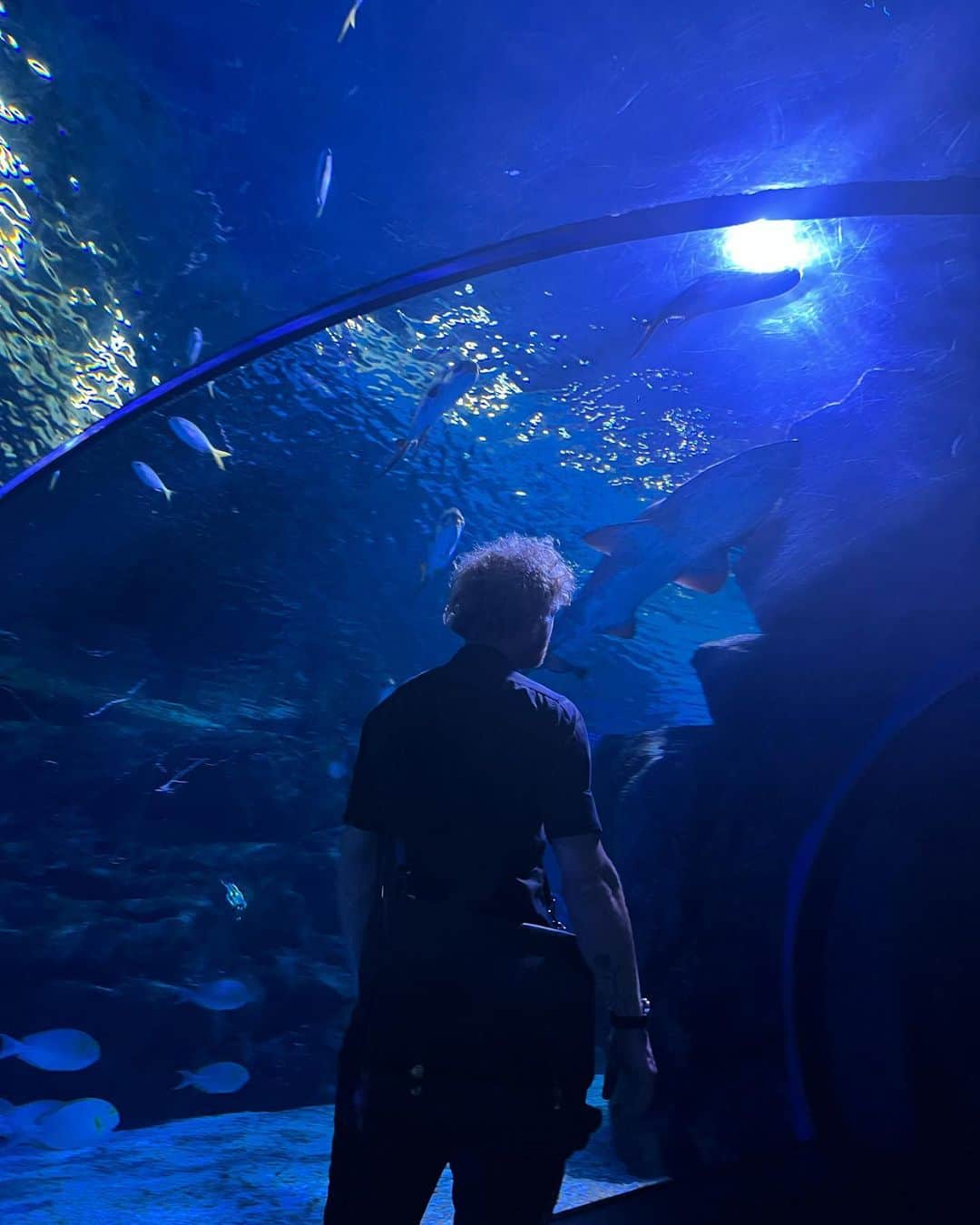 イプシー・キーラティのインスタグラム：「Aquarium day with @nicholas_haw 💙🫶🏽😄」