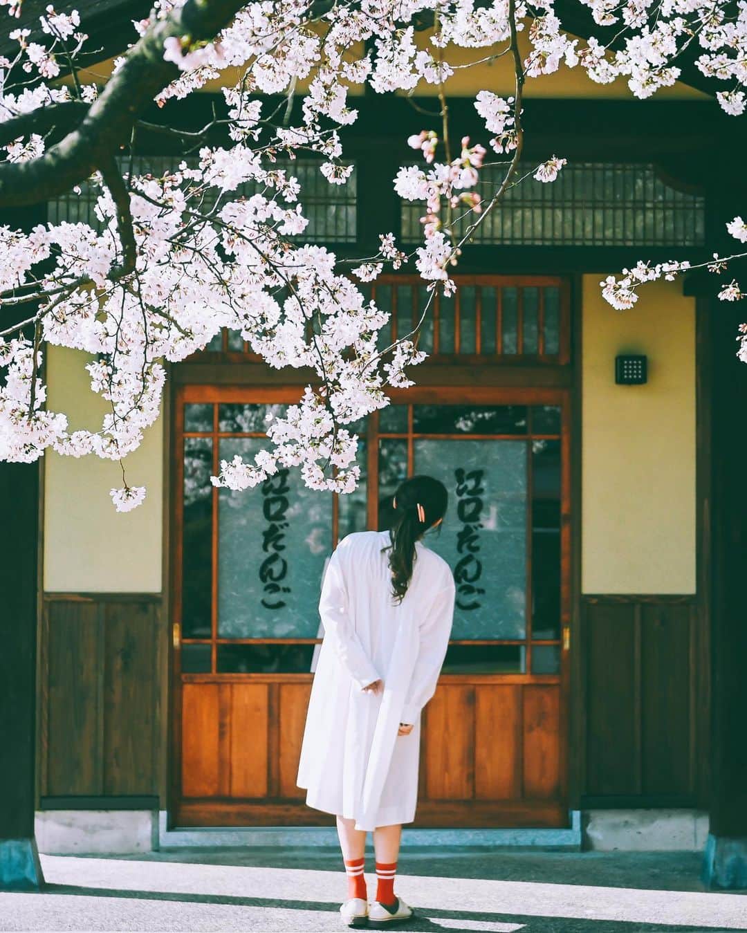 yukiのインスタグラム：「#江口だんご #江口だんご摂田屋店 #桜#新潟桜スポット  ・ 『桜咲く季節に…』 The scenery we have seen Another story  ・ ・ __________________________ 日々の撮影記事やコラム更新中！ ・・・・・・・・・・・・・・・ ◉FAN限定サイト◉ https://www.fansnet.jp/sty830 __________________________  #instagram #instagramjapan #bestjapanpics #wonderful_places #hello_worldpics #earthfocus #earthofficial #beautifuldestinations #fantastic_earth #travelanddestinations  #awesomepix #visualambassadors #earthpix #visitjapanjp #travelingthroughtheworld #artofvisuals #bestplacestogo #discoverer #welivetoexplore #tokyocameraclub」