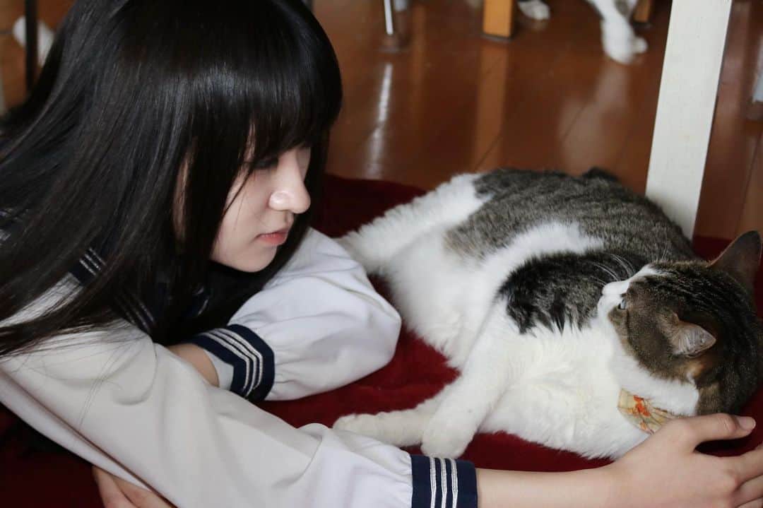 前野えまさんのインスタグラム写真 - (前野えまInstagram)「猫になりたい ・ ・ #猫になりたい  #猫との暮らし   #cat  #catstagram  #catphotography  #girlportrait #actress #actor #girl #photography #portrait #japanesegirl #portraitphotography #daily_phot_jpn #japan_daytime_view」4月12日 19時26分 - maeno_ema