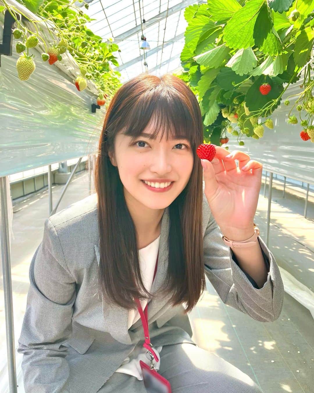 内田有香のインスタグラム