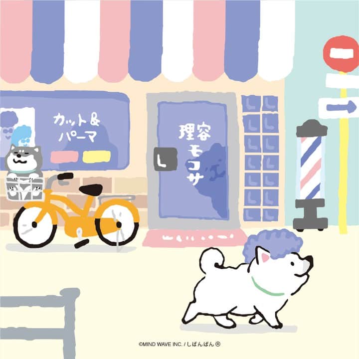 オオゴシヤステルのインスタグラム：「換毛期の抜け毛でイメチェンしてみた しろしばんばん  #新生活 #イメチェン  #今日のしばんばん #しばんばん #shibanban #むちころばんばん #muchicorobanban #微笑柴犬 #マインドウェイブ #mindwave #オオゴシヤステル #柴犬 #しばいぬ #sibainu #イラスト」