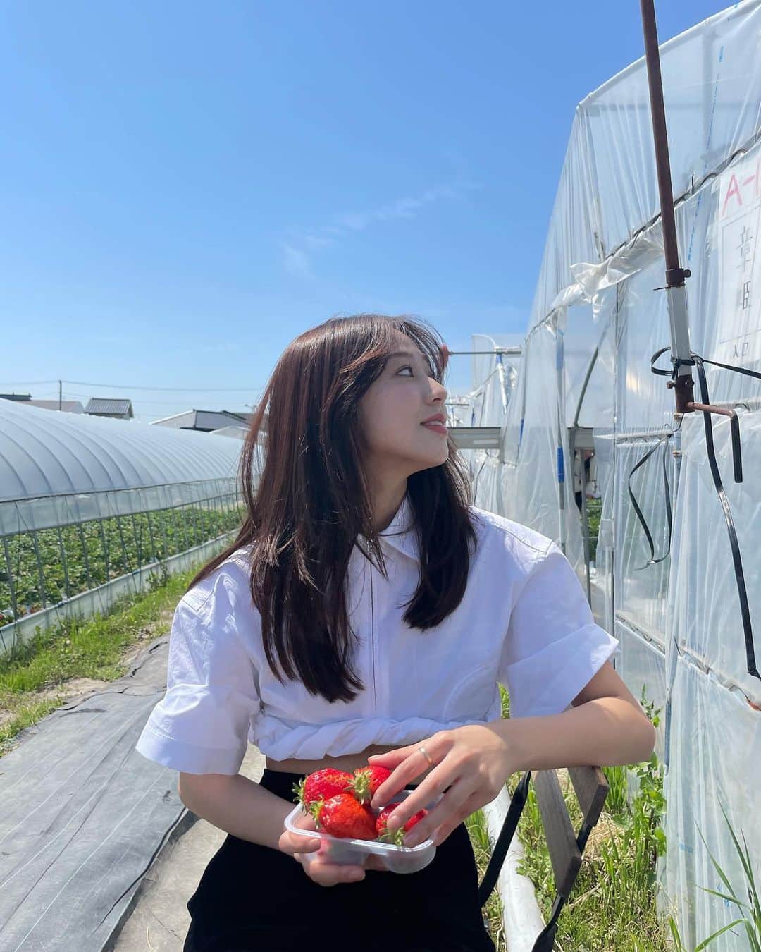 江藤百香のインスタグラム：「今年も @koyama_rina ちゃんといちご狩りしてきた🍓  天気も良くて気持ち良かった〜！りなちゃんありがと♡ #いちご狩り」