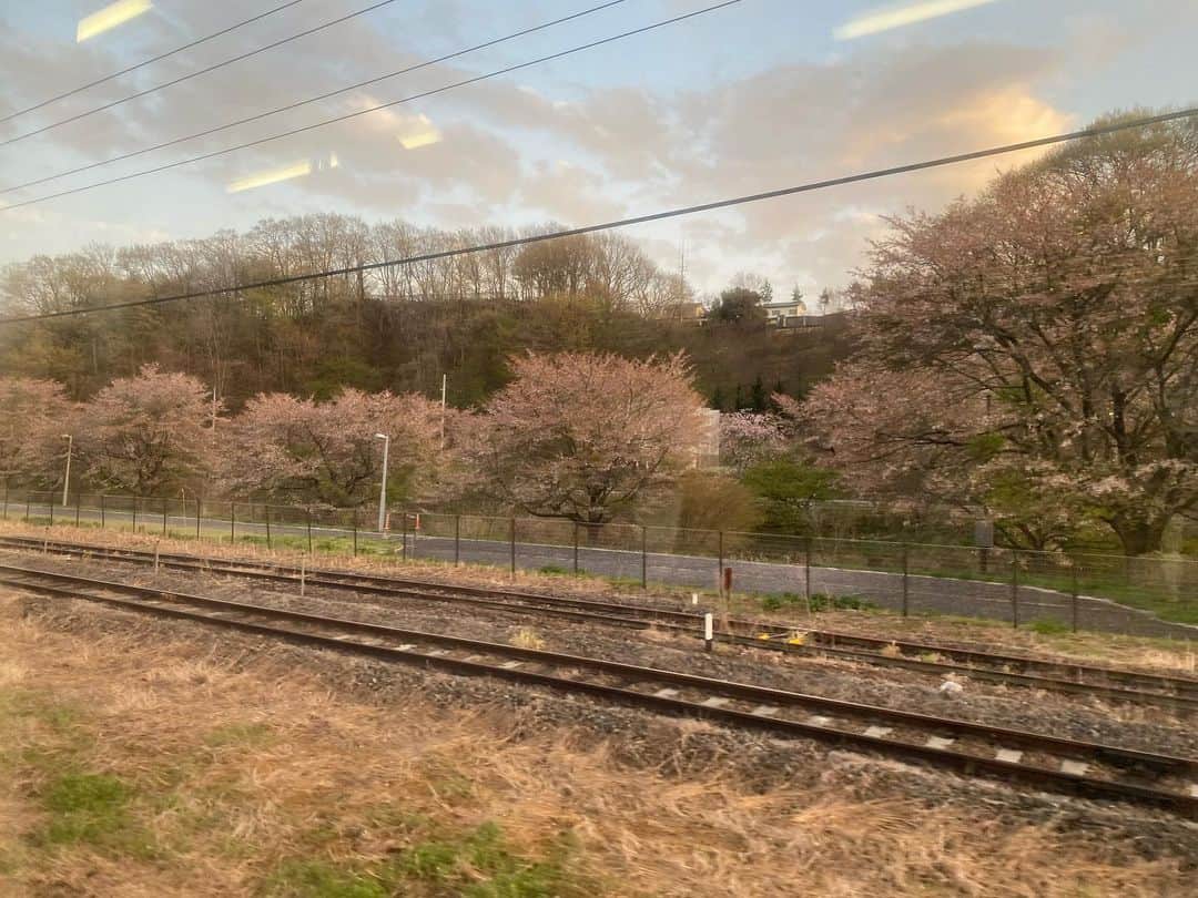 かねきよ勝則さんのインスタグラム写真 - (かねきよ勝則Instagram)「お世話になっている方に会いに、いわきへ移動。  途中の車窓から見えた桜🌸 もう少し早ければもっと綺麗だったろうなぁ🤔  #いわき #福島 #車窓 #桜 #新宿カウボーイ #かねきよ」4月12日 20時13分 - shinjyukucowboy_kanekiyo
