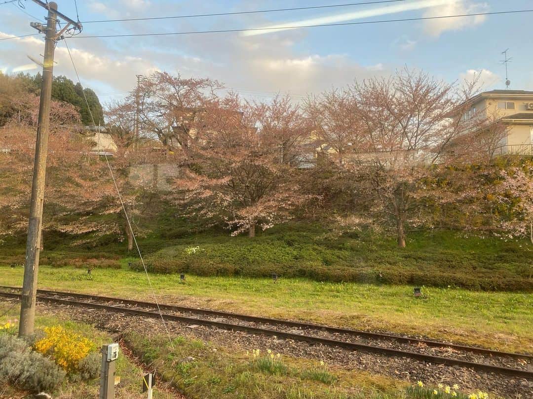 かねきよ勝則さんのインスタグラム写真 - (かねきよ勝則Instagram)「お世話になっている方に会いに、いわきへ移動。  途中の車窓から見えた桜🌸 もう少し早ければもっと綺麗だったろうなぁ🤔  #いわき #福島 #車窓 #桜 #新宿カウボーイ #かねきよ」4月12日 20時13分 - shinjyukucowboy_kanekiyo