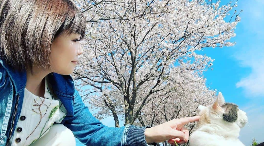 島香織さんのインスタグラム写真 - (島香織Instagram)「#2人家族でhappy家族 #おじいちゃんの命日 #ありがとうおじいちゃん ＃キミがいるから強くなれるんだ」4月12日 20時33分 - simako405