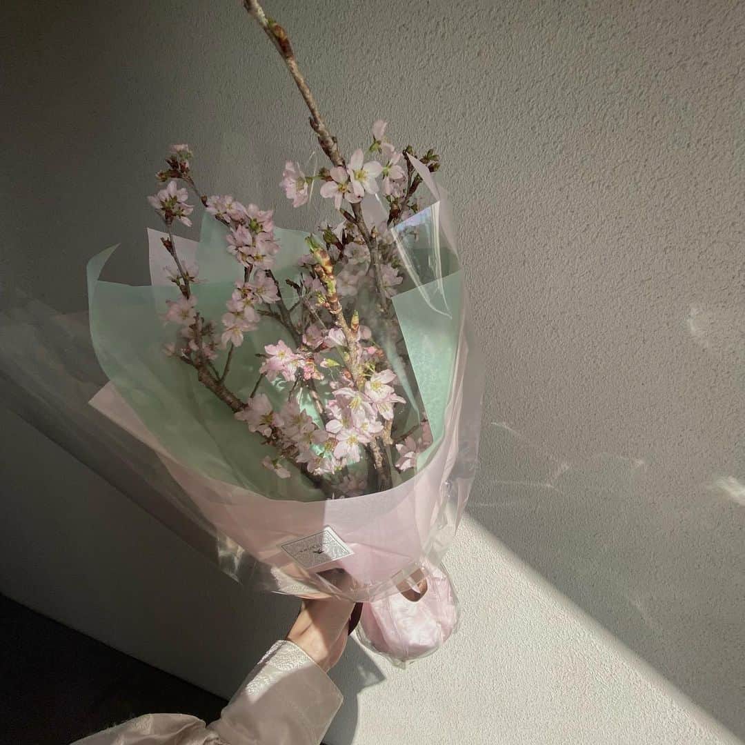 椎名伊織さんのインスタグラム写真 - (椎名伊織Instagram)「26- ̗̀ 🎂 ̖́-」4月12日 20時28分 - iori_2038