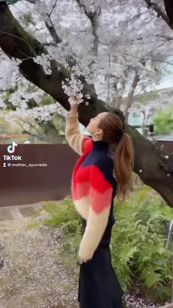 岡清華のインスタグラム：「【 間違えても、また戻って、軌道修正すればいいんだよ☺️🌈】  わたしって、結構な方向音痴だったんです。😂 なかなか目的地にまっすぐ、辿り着かない。 それは、仕事でもプライベートでも人生全体が、そうだった😂  だけど、いま、過去を振り返ってみて思うと、 そのまま真っ直ぐに辿り着くのが正解だったのか❓ っと言われるとそうじゃなかったかもしれないって。  目的地だと思っていたところが、実は通過点だったり 逆に、道中にもっと素敵な場所に辿り着いたり、 もっと言えば間違えちゃったからこそ出会えるものもあったり❣️  間違いは、果たして本当に間違いなのか？ 正解は、果たして本当に正解なのでしょうか？  わたしは、遠回りして、回り道して、 間違えて、失敗して、それに気づいたときに軌道修正して… いま、素晴らしい皆様に囲まれて、幸せな人生を過ごしてる☺️  これがまだまだ目的地だとも思ってないし、 最終目的地に辿り着くのって一生ないかもしれない。 だけど、だから、人生は旅なのかもしれないですね✨  一回自分が決めたことだから、突き通さなきゃ。 その考え方も、もしかしたら不自然かもしれなくて。 目的は、自分が自分に嘘をつかず、 一切の違和感がなく、豊かに幸せに生きることで。  その目的のために、手段って、ルートって、 何回変えても良いのかもしれないですよね☺️🙏  わたしはいつもそんなふうに人生を考えてる。 不器用だって、下手くそだって、方向音痴だって、 悪くないもんですよ😊  だって、想像もできなかった場所に辿り着ける。 想像を超えたご縁や出会いがその先に待ってる。  人生、楽しんだもん勝ちですね🫶 正解は、自分の人生の中にしかないですね😌✨」