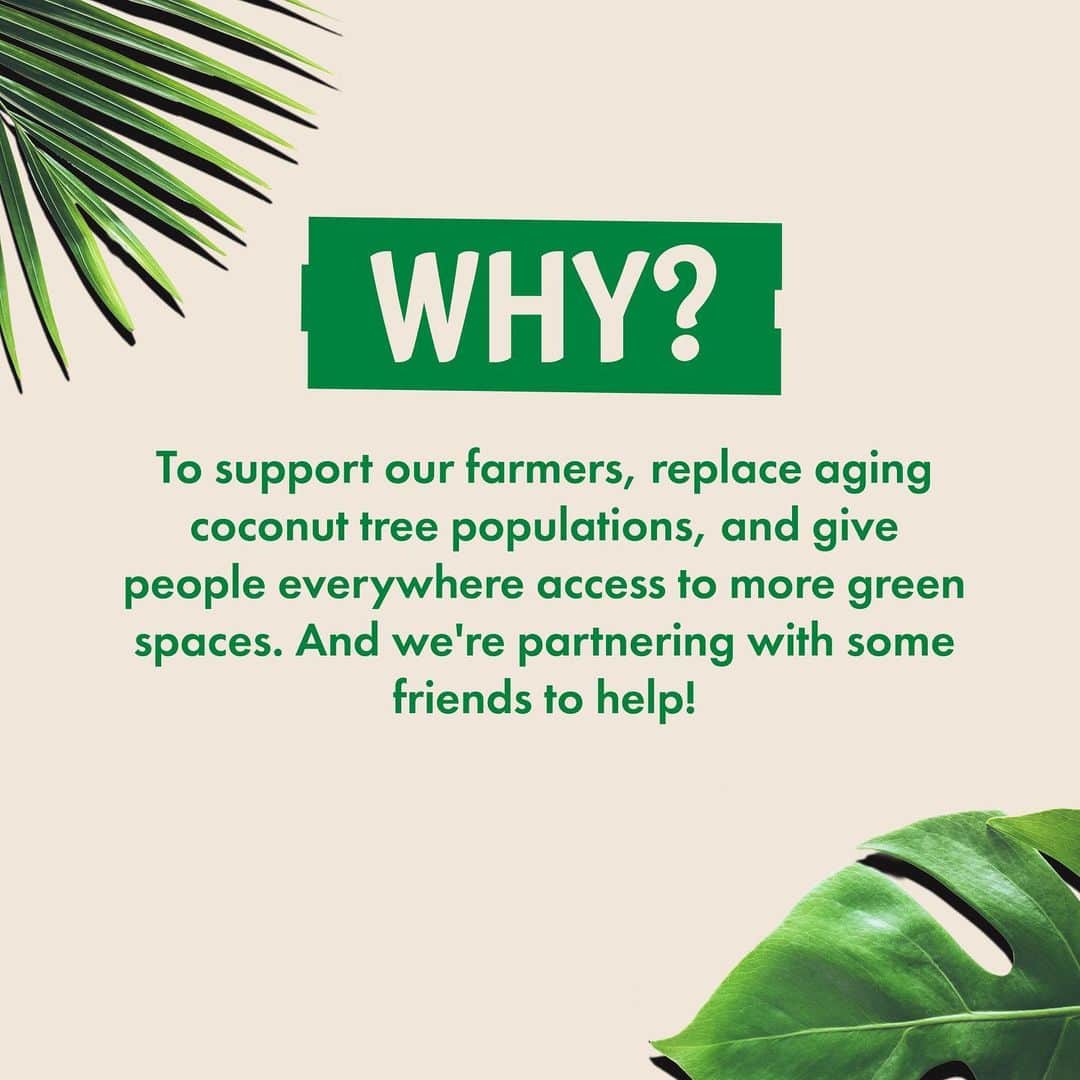 Vita Coco Coconut Waterさんのインスタグラム写真 - (Vita Coco Coconut WaterInstagram)「🆕 Announcement! We're always seeking out ways that we can support people and the planet with our products, which is why we're very excited to share that we're launching a new commitment that supports both. Meet: Seedlings for Sustainability 💚   Our goal is to distribute 10 million seedlings and trees by 2030.    And together with our partners at HOPE, Silvermill Foundation, and @arbordayfoundation, we plan on reforesting communities around the world. This means replacing aging coconut trees and providing access to more green spaces in neighborhoods. The effect? Supporting our coconut farmers across the tropics with extra income and restoring communities across the United States. Learn more using the link in bio.」4月13日 7時09分 - vitacoco
