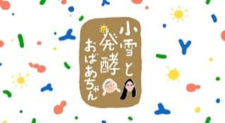 小雪のインスタグラム：「昨年2回放送されました NHK Eテレ 「小雪と発酵おばあちゃん」が4月よりレギュラー番組となります。 初回は4/16(日)18:00より 今回は滋賀県の発酵おばあちゃんをお訪ねしています。 是非ご覧ください♪  #NHK  #Eテレ #小雪と発酵おばあちゃん  #幻の #発酵食」