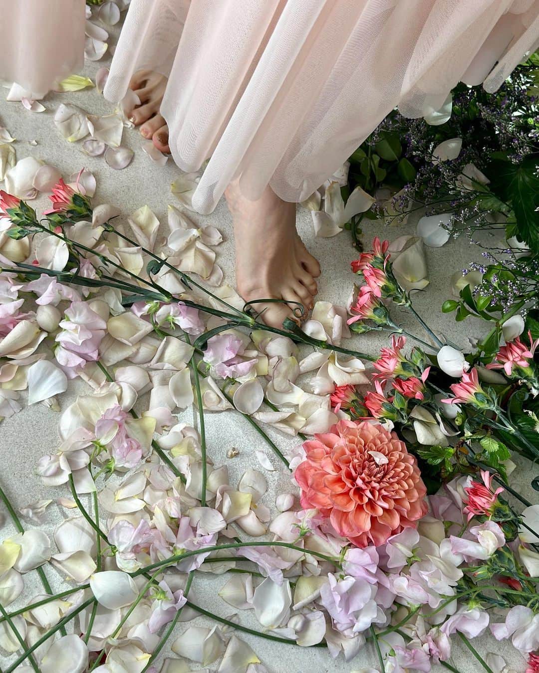 伊藤千晃のインスタグラム：「今日はお花いっぱいの素敵な撮影をしてきました💐 ⁡ 久々に作り込んだ撮影だったから自然とテンションが上がってしまった☺️💕 ⁡ 時間は長くタイトだったけど、 明るくて穏やかなスタッフさん達に恵まれてすごくいい映像が撮れました✨ ⁡ #仕上がりが楽しみ #花に囲まれる幸せ」