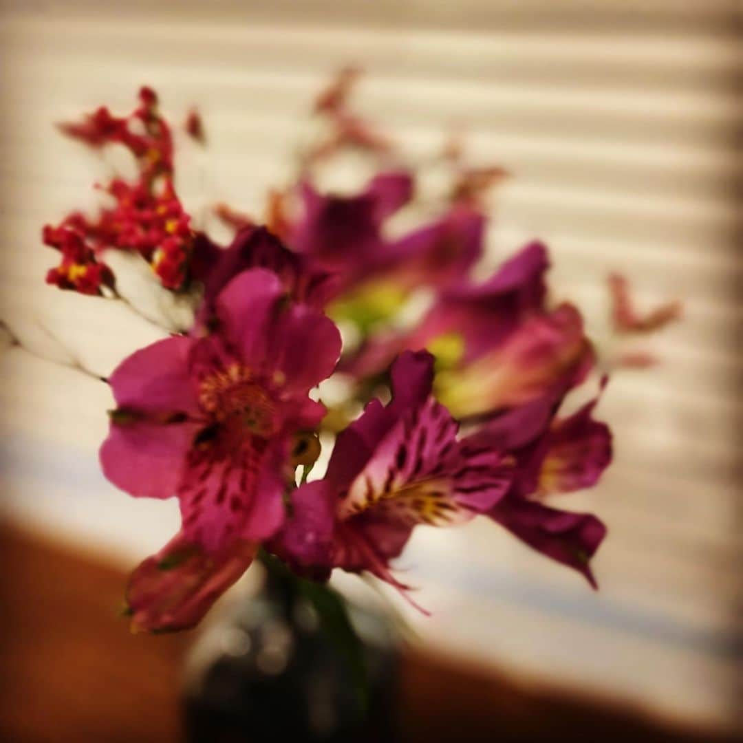 tetsuyaのインスタグラム：「#stellabloom」