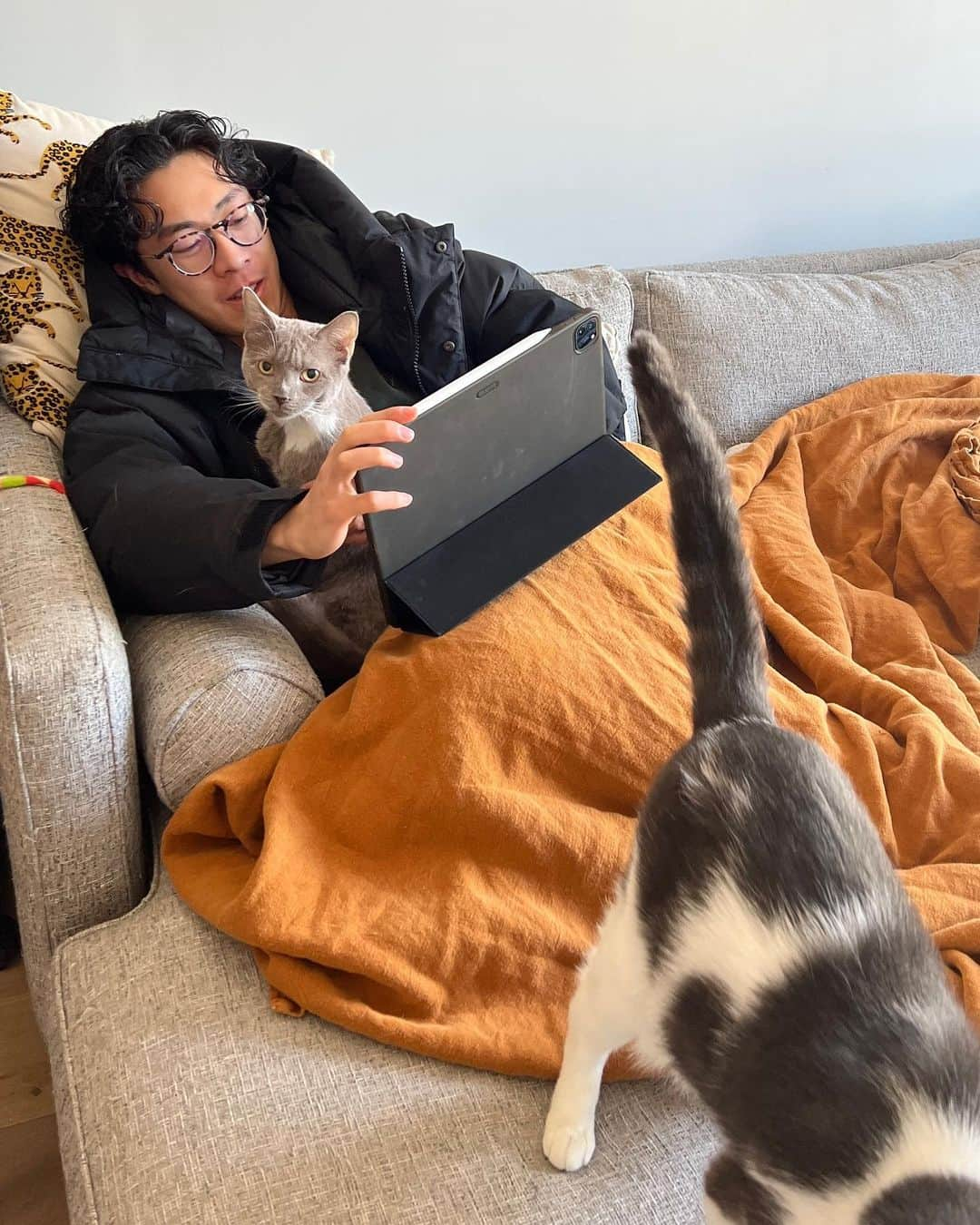 ネイサン・チェンさんのインスタグラム写真 - (ネイサン・チェンInstagram)「Cats so cool, I need a full winter coat inside」4月12日 22時35分 - nathanwchen