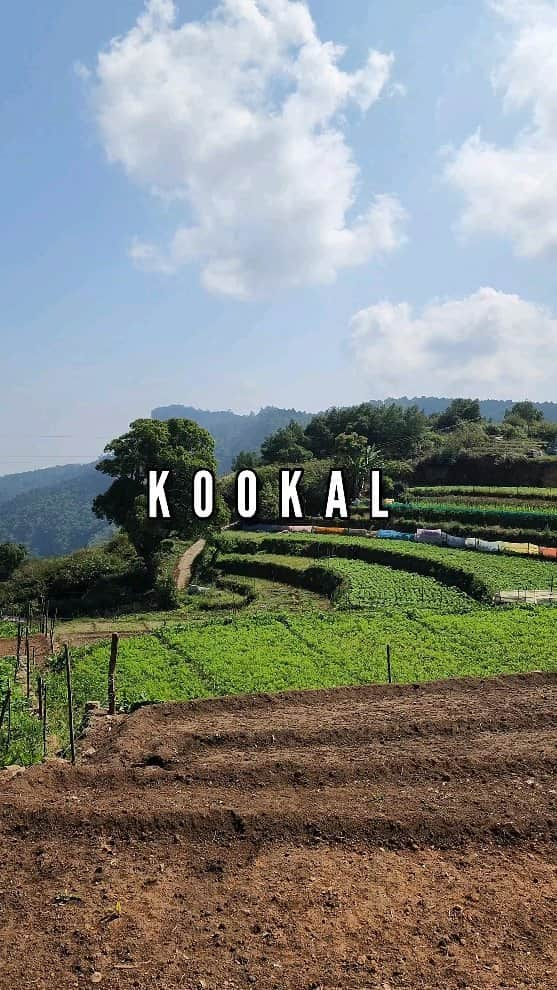 Nikonのインスタグラム：「Kookal Private Waterfalls - Details in last picture  #kookal #waterfalls #kodaikanal #kodai #reelsindia #kookalfalls #instalike #couplereels #reels #like #reelitfeelit #viralvideos」