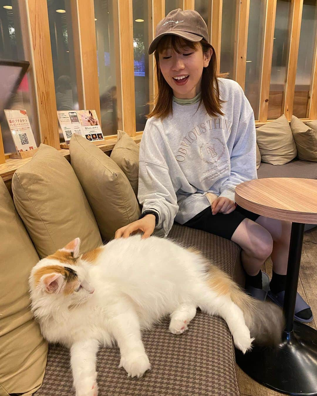 荒木悠衣さんのインスタグラム写真 - (荒木悠衣Instagram)「- 定期の猫ちゃんたち 可愛すぎる…♡  https://catmocha.jp/?gclid=EAIaIQobChMI9K_ov8Ck_gIViKmWCh3X_ghOEAAYASAAEgLFHvD_BwE  #猫カフェmocha #猫カフェ#pr#秋葉原猫カフェ #秋葉原カフェ」4月12日 22時59分 - ara_kicti429