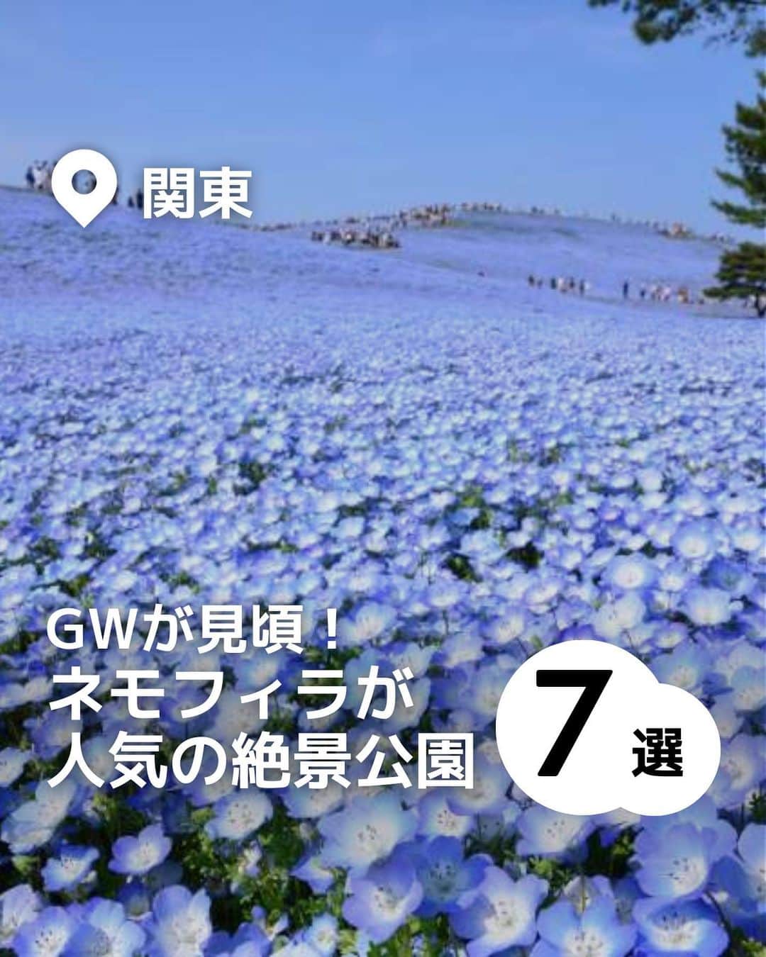 iko-yo（いこーよオフィシャル）のインスタグラム：「「関東ネモフィラが人気の絶景公園7選」 今回取り上げた施設は ↓ 📍茨城県ひたちなか市 【国営ひたち海浜公園】 ネモフィラといえば「国営ひたち海浜公園」といわれるほどの名所。 園内は、7つのエリアに分かれており、周遊バス「シーサイドトレイン」で園内を巡ることができます。  📍東京都立川市 【国営昭和記念公園】 180ヘクタールもある広々とした園内で、ふわふわドームや複合遊具で遊べる「わんぱくゆうぐ」のほか、サイクリングやフットサルなどのスポーツやBBQが楽しめます。  📍 東京都千代田区 【日比谷公園】 霞が関と有楽町の間に位置する「日比谷公園」は、東京を代表する公園のひとつ。約16.2ヘクタールの広大な園内には、ターザンロープなどの遊具で遊べる「草地広場」や、緑を見ながら食事が楽しめるレストランなどもあり、親子で1日のんびり過ごせます。  📍神奈川県横須賀市 【くりはま花の国】 約100万本のポピー園でアイスランドポピーやシャーレ—ポピーなどが続々と開花リレーするほか、山頂にも近い天空の花畑ではネモフィラが見頃を迎えます。園内には子供に大人気のアスレチック広場もあり、全長38mのローラーすべり台や大型遊具で遊べます。巨大なゴジラのすべり台は必見！  📍 千葉県富津市 【マザー牧場】 約250ヘクタールの広々とした敷地内で、動物とのふれあいやウシの乳しぼり体験、季節の味覚狩り、手作り体験など、多彩な楽しみ方ができます。園内には、観覧車などの大型遊具がそろった遊園地、乗馬体験などのアクティビティも充実。ペットも同伴可能なので（犬のみ／1頭700円）、家族やペットと美しい景色を楽しみながら1日中のんびり過ごせます。  📍埼玉県比企郡滑川町 【国営武蔵丘陵森林公園】 東京ドームの約65個分という広大な面積を誇る自然豊かな公園です。園内には全長17kmものサイクリングコースがあり、緑に囲まれた林間コースで爽快なサイクリングも楽しめます。花畑を満喫したあとは、展望レストランやBBQエリアで食事を楽しんだり（事前予約制）、日本一大きなエアートランポリンやアスレチックで体を動かしたりと、親子で1日中遊べます。  📍 千葉県千葉市 【富田さとにわ耕園】 農業体験農園のほか、地元でとれた野菜や魚の直売所がある「富田さとにわ耕園」。芝桜の名所としても知られ、12万株の芝桜とあわせて、黄色いポピーとブルーのネモフィラの花が織りなす田園風景は一見の価値あり！  ※2023年4月12日時点の情報です。 最新の情報は公式HPや「いこーよ」サイトでご確認ください。 ーーーーーーーーーーーーーーーーーーー おでかけ情報量は日本最大級！ 子どもとお出かけ情報サイト「いこーよ」 「親子でおでかけしたい場所」をご紹介させていただいています！  お子さんとのおでかけの思い出の写真を、このアカウントをフォローの上#いこーよ をつけてぜひ投稿してください。魅力的な写真は、いこーよ公式SNSで紹介させていただきます！  募集中タグ＃いこーよ  「子どもと行きたい！」と思ったら保存が便利！ プロフィールのURLから「いこーよ」のサイトに行くと、他の投稿やオトクな情報などが載っています♪ ☞ @ikoyo_odekake  #いこーよ #お出かけ #おでかけ #お出かけスポット #子連れ #こどものいる暮らし #子連れスポット #いこーよお出かけ部 #千葉ママ #千葉旅行 #千葉観光 #茨城ママ #茨城旅行 #茨城観光#埼玉ママ#埼玉旅行#埼玉観光#神奈川ママ#神奈川観光#神奈川旅行#ネモフィラ#ネモフィラ畑#国営ひたち海浜公園#国営昭和記念公園#くりはま花の国#国営武蔵丘陵森林公園#マザー牧場#富田さとにわ耕園#日比谷公園」