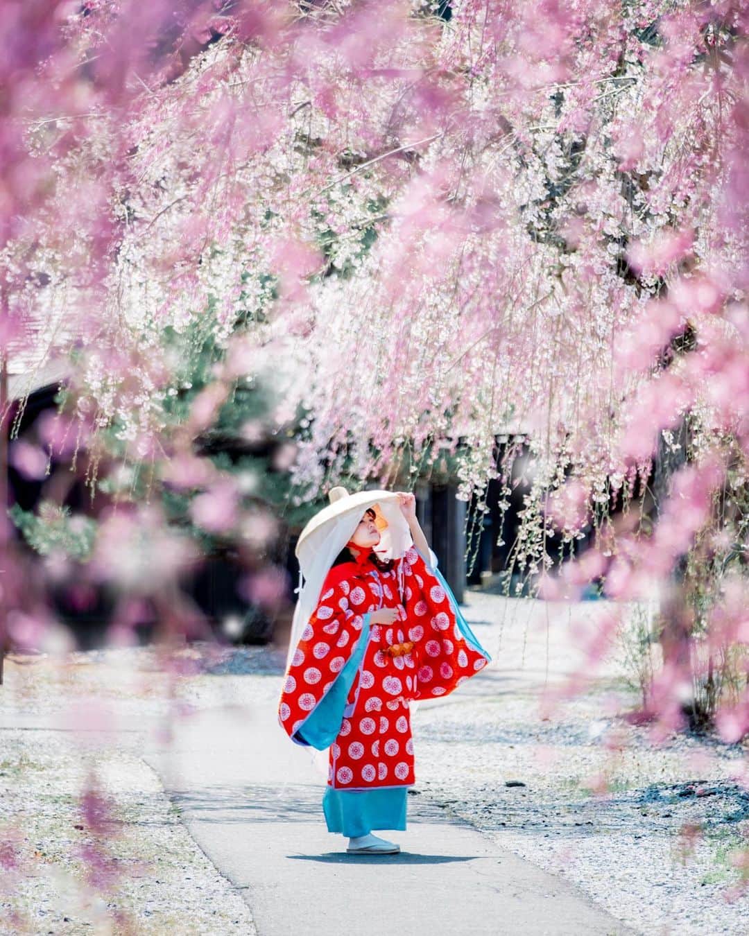 shabonのインスタグラム：「* . . . . . ここは大河ドラマの世界！！ 平安旅装の衣装で🥰 枝垂れ桜も綺麗でした🌸 . model : @ayaketty1685 . special thanks. @hakuchuu1882  @amatou_0429  . . FUJIFILM X-T5 /  XF50-140mm F2.8 R LM OIS WR . . お仕事・撮影のご依頼はDMかメールに お願い致します。 . . . . . . *」