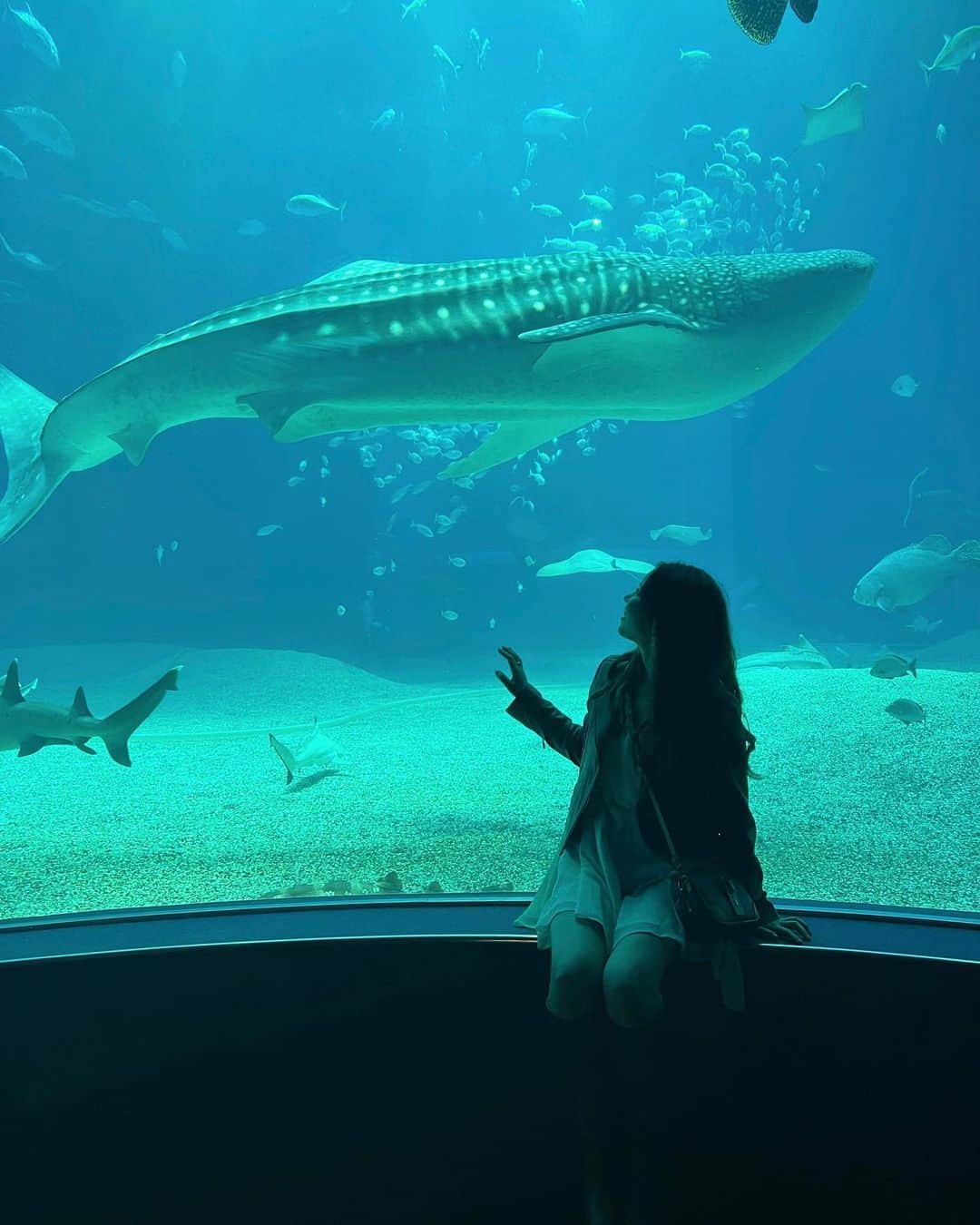 DJ NANAのインスタグラム：「ずっと行ってみたかった海遊館🐠  さすが水族館ランキング2位なだけあって ボリュームがすごかった🤩  印象残ってるのはマンボウがキモすぎたし アザラシが可愛すぎた🦭💓  #大阪 #海遊館 #大水槽 #魚になりたい #ジンベイザメ #マンボウ #ゴマフアザラシ #春 #リフレッシュ旅 #旅行 #acym」