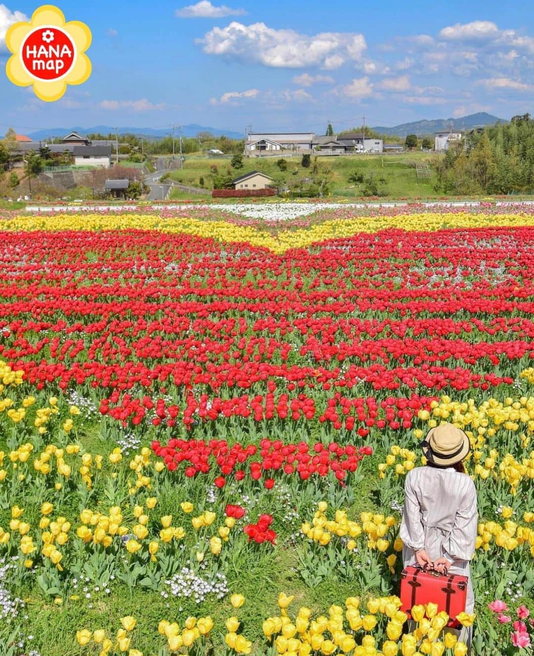 はなまっぷ❁日本の花風景さんのインスタグラム写真 - (はなまっぷ❁日本の花風景Instagram)「🌸はなまっぷ🌸 * @kazz1109 さんの 花のある風景に花まるを💮 * 幸せな気分になれるハートのチューリップ畑をありがとうございます😊🌸 * #和歌山　#恋のチューリップ畑 Hashimoto, Wakayama Pref. * 🌼チューリップの花言葉📝🌼 思いやり * ※見頃が過ぎている花、終わっている花もご紹介させていただいています。 * 🌸•••🌸•••🌸•••🌸•••🌸•••🌸 * いつも素敵なお花をありがとうございます😊 #はなまっぷ #日本の美しい花風景#花のある風景#花#花言葉#花畑#春#チューリップ#チューリップ畑#🌷#橋本市#恋野 * 🌸••••••お知らせ••••••🌸 * 花風景検索サイト　はなまっぷ https://hanamap.com 🔍「はなまっぷ」または @hanamap プロフィール欄から ぜひご覧ください * 📖🌸📖🌸📖🌸📖🌸📖 四季の花々を訪ねていきたい にっぽんの花地図 好評発売中📘 📖🌸📖🌸📖🌸📖🌸📖」4月12日 23時16分 - hanamap