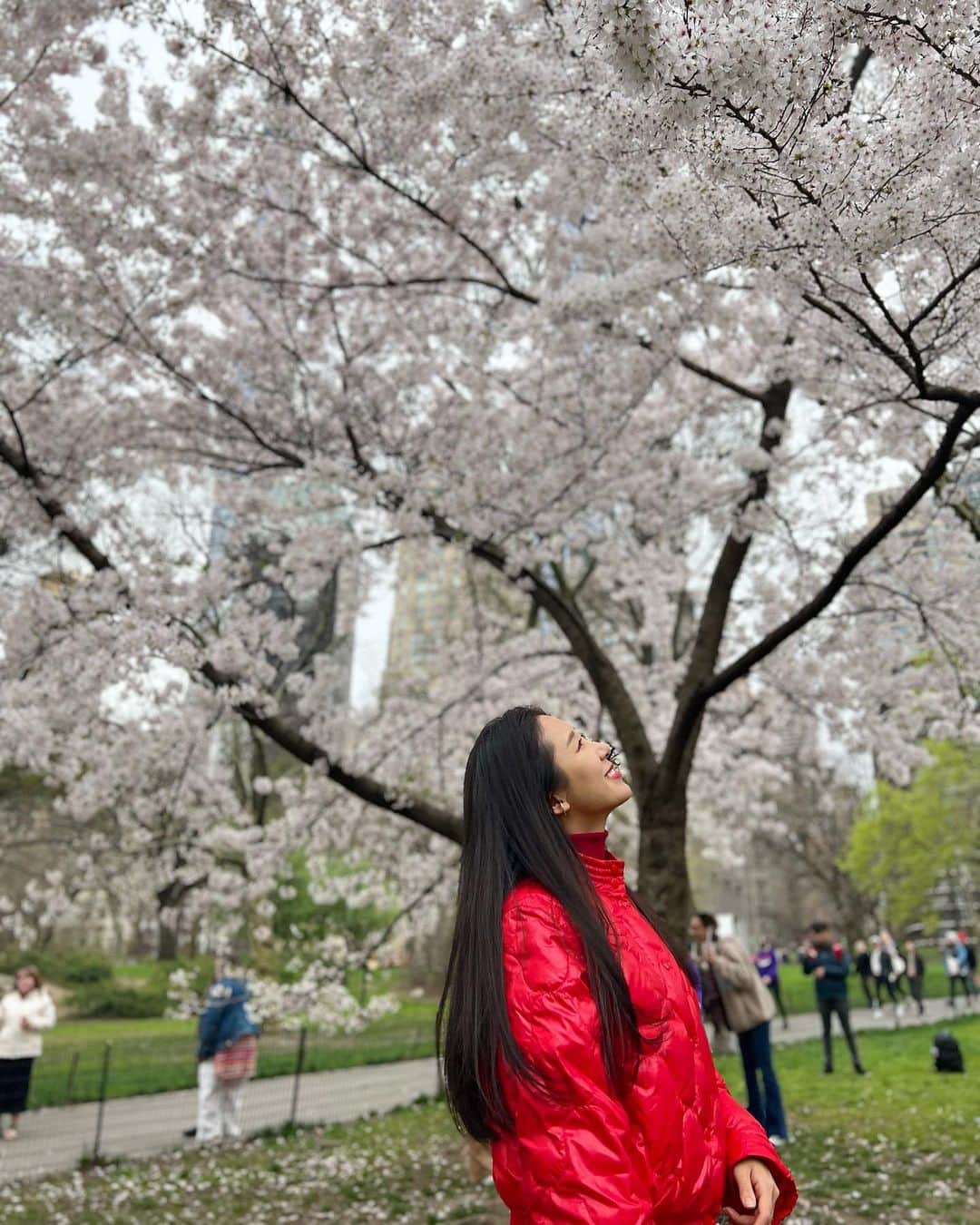 澤山璃奈のインスタグラム：「数日前まで2,3度❄️だったのに、 今週は急に29度になるNYのお天気😂☀️   どうやらNYは春と秋がとても短いらしい🤣笑！  セントラルパークで桜が見れて短い春を感じる事が出来ました🌸  日本の桜より若干白っぽい気が🤍  大好きなリスちゃんも暖かくなってきて嬉しそう❤️🐿(可愛いけど危ないので触っちゃダメ🙅‍♀️)  私自身半年間のリラックス期間を経てやっと心も身体も活動的になってきたので、 初めてのNYの春夏がより楽しみです🧡🌷  🗽　#sawarina_ny   #海外移住 #アメリカ移住 #NY移住 #アメリカ生活 #NY生活 #NY #NYC #nylife #nyphoto #NYbucketlist」