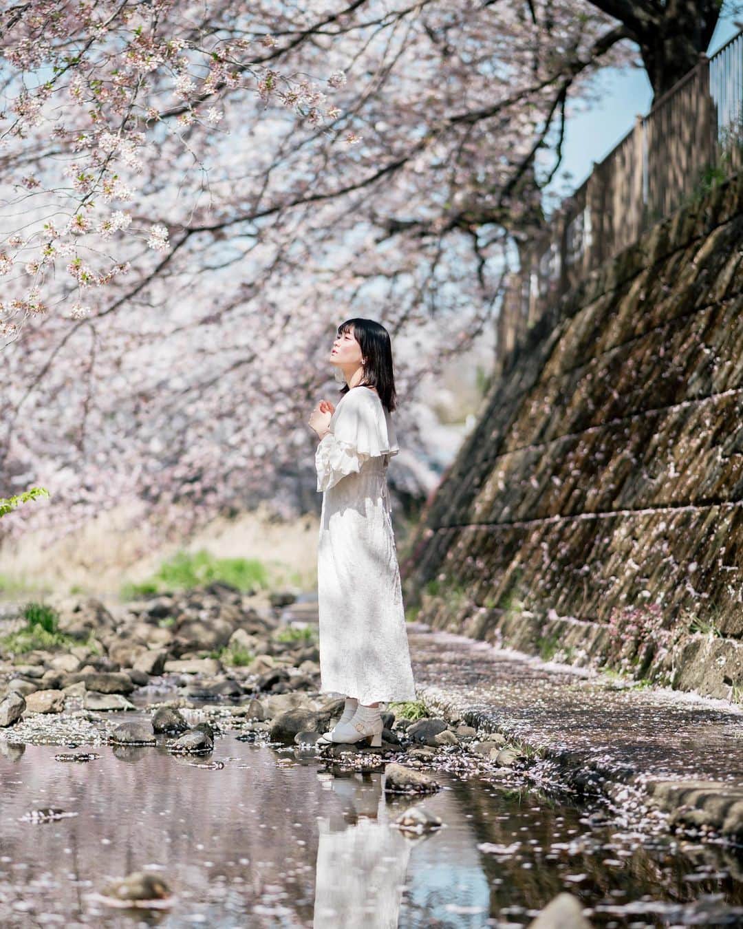 Yuma Takatsukiさんのインスタグラム写真 - (Yuma TakatsukiInstagram)「. . . sakura . . . . . . まだまだ自分の行ったことない 桜スポットがあるから楽しみは尽きないね。 ⁡ 青森の桜はいつか行きたい… ⁡ それでは今日もお疲れ様でした。 . Tokyo／Japan LUMIX S5Ⅱ／LUMIX S 85mm F1.8 . #lumixjapan  #lumix  #lumixs5ii  . ―――――――――――――――――――――――――― 関西を中心にフリーランスで活動しています。 Web広告、個人撮影、家族撮影、PR撮影など、 4月以降の撮影依頼募集中です。 ⁡ ⁡Yuma Takatsukiオリジナルプリセットも販売中です。 ⁡プロフィールのポートフォリオサイトからご覧下さい。  またフォトサークルITTOKOという活動をしています。 ⁡ハイライトに色んなイベントをまとめています。 ――――――――――――――――――――――――――」4月12日 23時44分 - yu_umaa06