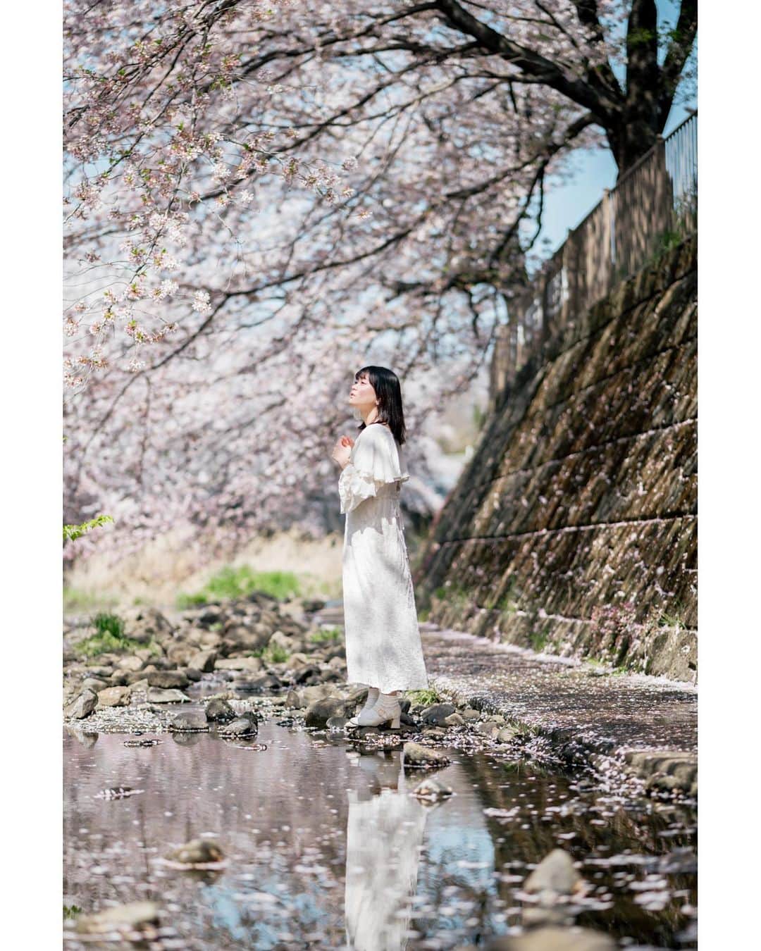 Yuma Takatsukiさんのインスタグラム写真 - (Yuma TakatsukiInstagram)「. . . sakura . . . . . . まだまだ自分の行ったことない 桜スポットがあるから楽しみは尽きないね。 ⁡ 青森の桜はいつか行きたい… ⁡ それでは今日もお疲れ様でした。 . Tokyo／Japan LUMIX S5Ⅱ／LUMIX S 85mm F1.8 . #lumixjapan  #lumix  #lumixs5ii  . ―――――――――――――――――――――――――― 関西を中心にフリーランスで活動しています。 Web広告、個人撮影、家族撮影、PR撮影など、 4月以降の撮影依頼募集中です。 ⁡ ⁡Yuma Takatsukiオリジナルプリセットも販売中です。 ⁡プロフィールのポートフォリオサイトからご覧下さい。  またフォトサークルITTOKOという活動をしています。 ⁡ハイライトに色んなイベントをまとめています。 ――――――――――――――――――――――――――」4月12日 23時44分 - yu_umaa06