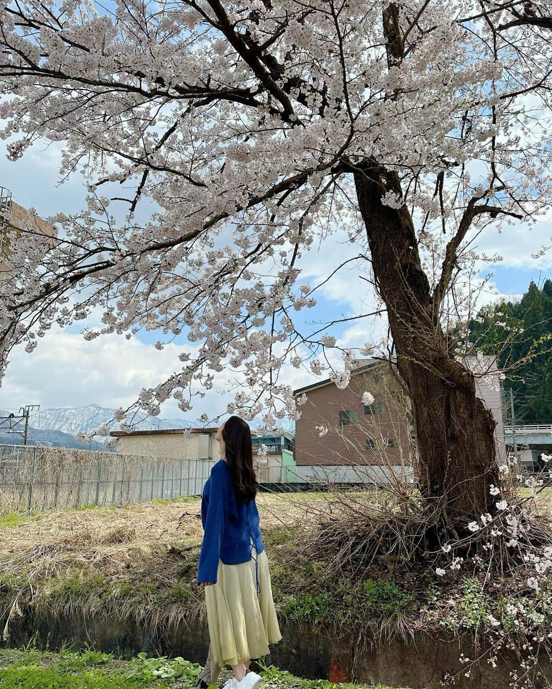 穂川果音さんのインスタグラム写真 - (穂川果音Instagram)「こんばんは😊 先日、越後湯沢にも行ってきたよ！桜と雪の積もった山が一緒に見られたよ〜🌸(4月9日時点)  今週も半分お疲れ様でした✨  #越後湯沢　#桜2023 #桜追いかけ旅 #trip」4月13日 0時14分 - hokawakanonn