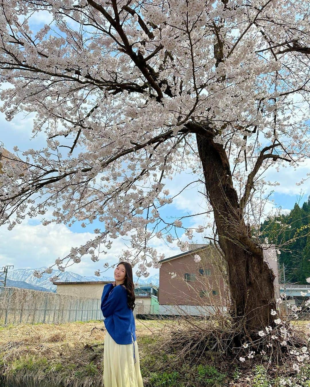 穂川果音さんのインスタグラム写真 - (穂川果音Instagram)「こんばんは😊 先日、越後湯沢にも行ってきたよ！桜と雪の積もった山が一緒に見られたよ〜🌸(4月9日時点)  今週も半分お疲れ様でした✨  #越後湯沢　#桜2023 #桜追いかけ旅 #trip」4月13日 0時14分 - hokawakanonn