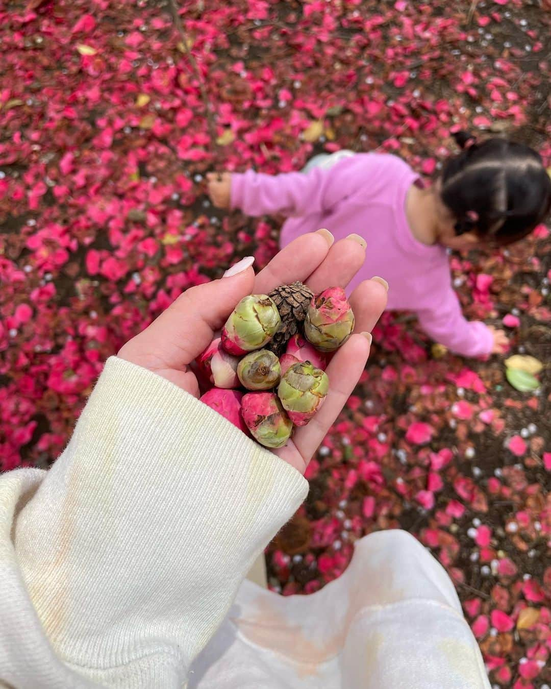 久恒美菜のインスタグラム：「🌺  娘と一緒に探した椿のつぼみ、に 紛れた小さな松ぼっくり 娘がくれたカラフルな葉 お花見をした日 可愛い寝相  私の毎日、私のすべて」