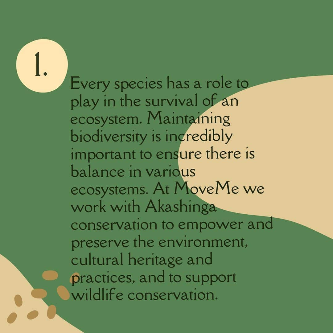 ブリアナ・エヴィガンさんのインスタグラム写真 - (ブリアナ・エヴィガンInstagram)「Our top 3 reasons on why we believe animal conservation is important. Why do you think animal conservation is important? Let us know in the comments below! 😁  . #MoveMe #africa #southafrica #empowerment #communityfirst #humanity」4月13日 1時12分 - brianaevigan