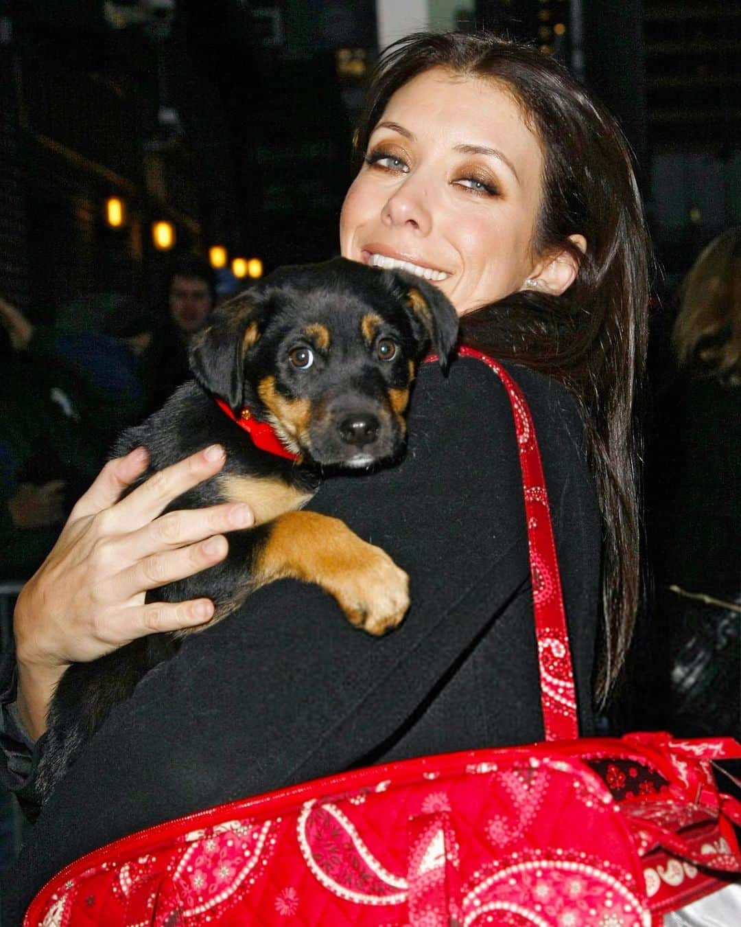 ケイト・ウォルシュさんのインスタグラム写真 - (ケイト・ウォルシュInstagram)「Rosie Walsh, aka Rosie The Dog, aka Rosie Perez, aka Rose Hound, Rosebud, Roro has left us after 15 years, 3 months of loyal service. 💫 💔 Rosie was born under a house in the Bronx and I adopted her just 8 weeks later as part of a dog adoption campaign with @AnimalHaven in NYC & took her back to Los Angeles to hang out with Lucy, Billy, Pablo & me. (I initially couldn’t decide between Rosie and her brother Amico, so when I chose Rosie, my brother Sean adopted Amico and took him home to Seattle 😊)  We had so many amazing years together, from the Hollywood Hills to the dog parks of Los Feliz & Encino, to the snowy mountains of Lake Tahoe, to the beaches of Malibu to the streets of NYC & Washington square park, and finally to Perth, where she has endlessly walked & swam the beaches, the Swan river, and vigorously rounded the cricket oval & trails as if she was expected at the Swanbourne Bridge Club! 😂 Rosie had an iron will to live and was my always companion…whenever I could bring her to set I would, and when I couldn’t I had the best people looking after her.  She kept Lucy the Dog, Billy & Pablo company until they left this world and I’m so grateful for all she taught me and very, very grateful that she waited for me to come back from LA say goodbye to me snout to snout. I am also incredibly grateful for Mikey Lage (@MrHollywoof), Heather Tobin (@Southern_Spirit_Farm), #CristyDavey and Tina Van Leuven (@UpliftersNation) and all the others who have walked Rosie & loved her so well. And thanks too to all of the wonderful veterinarians all over the world, but especially here in Perth who helped her with her palliative care and eventually her transition at home. I honestly think she was the happiest here in her Western Australia retirement.」4月13日 3時44分 - katewalsh