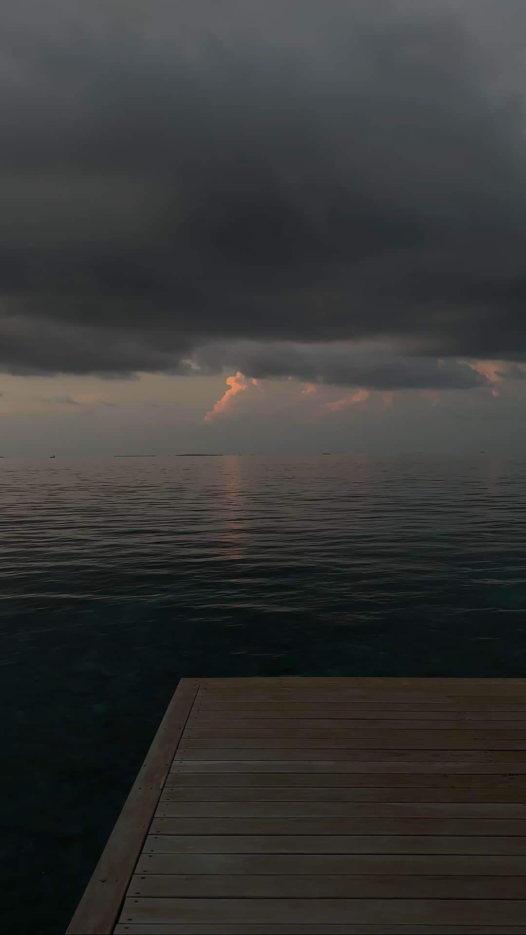Tamara Kalinicのインスタグラム：「Calm before the storm…」