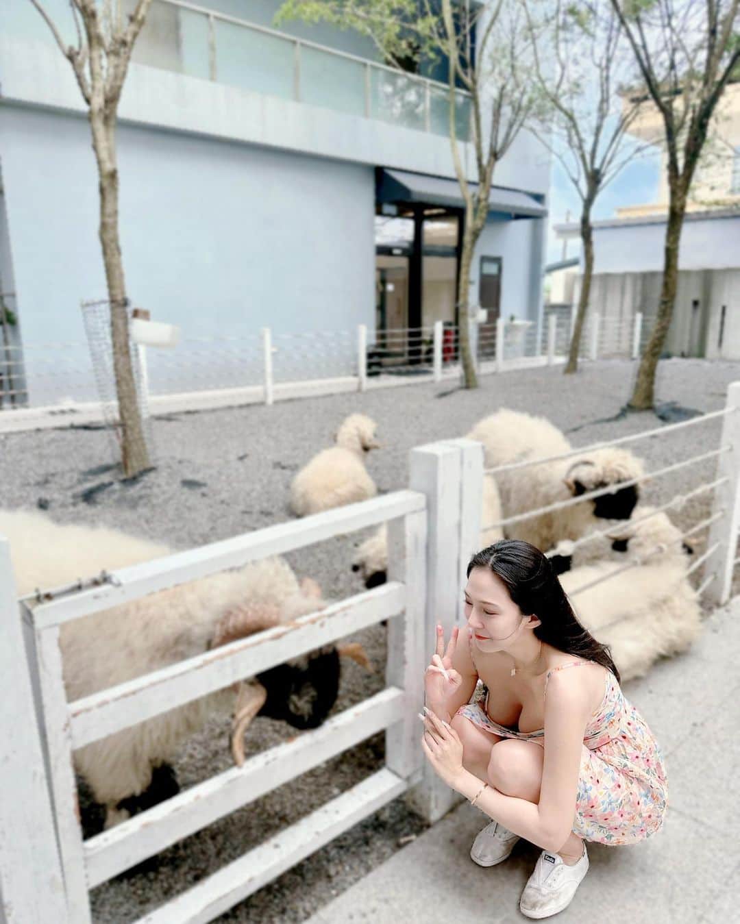 漢娜Hannahさんのインスタグラム写真 - (漢娜HannahInstagram)「笑笑羊🐑  #宜蘭景點 #宜蘭 #黑rurucafe」4月13日 16時42分 - callmetsts