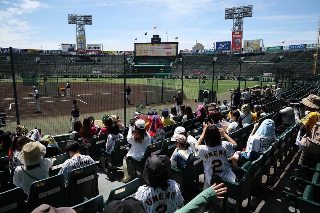 TORACOのインスタグラム：「＼TORACO DAYイベント情報解禁③／  5/13(土)・14(日)の #TORACODAY にてファンクラブ女性会員様限定の『#TORACO 練習見学会』の実施が決定！ 1塁側ベンチ上付近の座席で普段見ることができない #阪神タイガース 選手の練習を見学しましょう✨  応募はコチラ m.hanshintigers.jp/fanclub/」