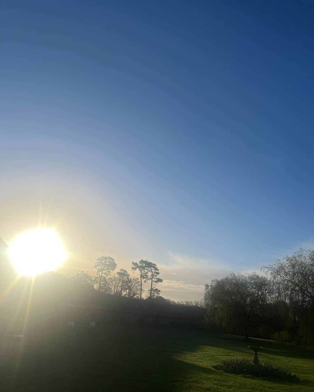 メラニー・サイクスさんのインスタグラム写真 - (メラニー・サイクスInstagram)「Morning everyone, 🥰just sharing some pics from yesterday. 🌳🌦️  And to tell you I hit some balls around on a tennis court yesterday after years away. It felt amazing playing in the wind and I was grateful for recovering some of my swings. 🤸🏽‍♂️💫🙏🏻  Get out there and make things happen, yer hear 💫🥰  #cloudlover #skygazer #sunshineandrain #tree_magic   Have a wonderful day 💛」4月13日 15時24分 - msmelaniesykes