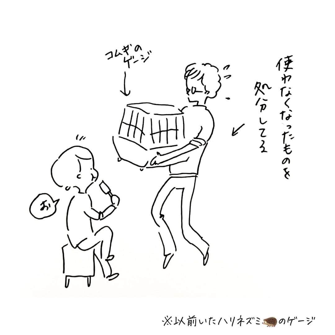 uta saitoのインスタグラム：「令和５年4月13日　晴れ  なんでも全部いいよって 言ってくれるタプさんが 初めて断った日。  付き合ってから はじめて弱音を聞いた。  そんなに世話 してなかったか  すまねぇ  #サクタロウ #IQ3のポメラニアン #性格はいい #ペット #根性で世話して」