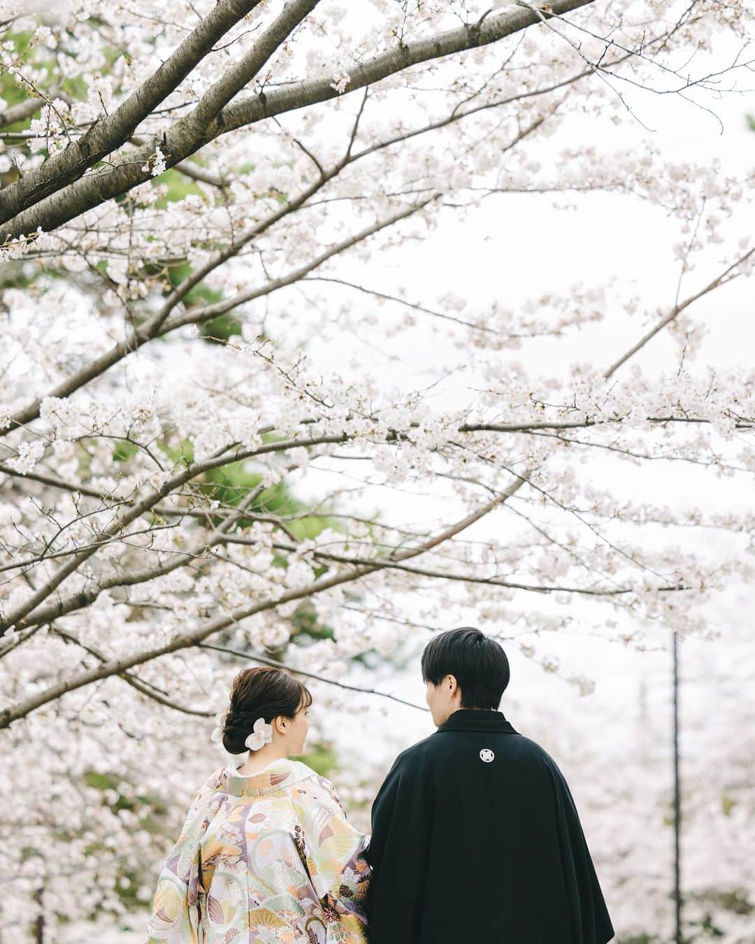 THE SODOH WEDDING OFFICIALのインスタグラム：「*  桜満開の時期に行われた "前撮り撮影"  当館からほど近くの ねねの道や高台寺公園は 桜が咲き誇る名所です  前撮りでは 和装とドレスどちらもゆったりと 撮影をお楽しみいただけます  PHOTO by @unplugged_kyoto   >>> @sodoh_wedding  #sodoh花嫁 #thesodohhigashiyamakyoto #ザソウドウ東山京都 #sodoh #weddingdress #dress #kyoto #wedding #thetreatdressing #プレ花嫁 #卒花嫁 #結婚準備 #式場探し #関西花嫁 #京都花嫁 #京都結婚式#東山」